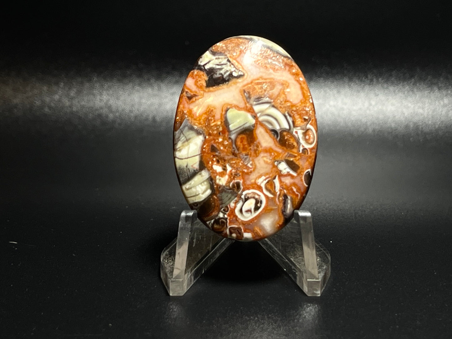 Leopard Jasper #LJ7