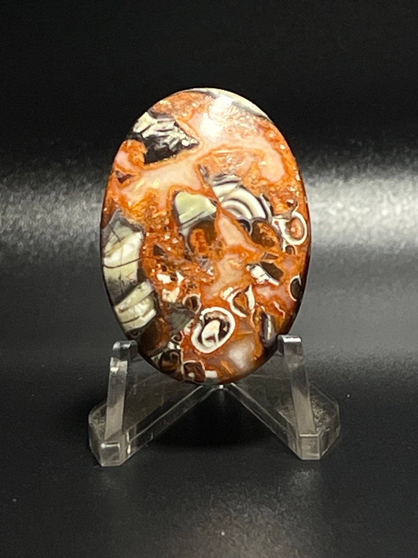 Leopard Jasper #LJ7