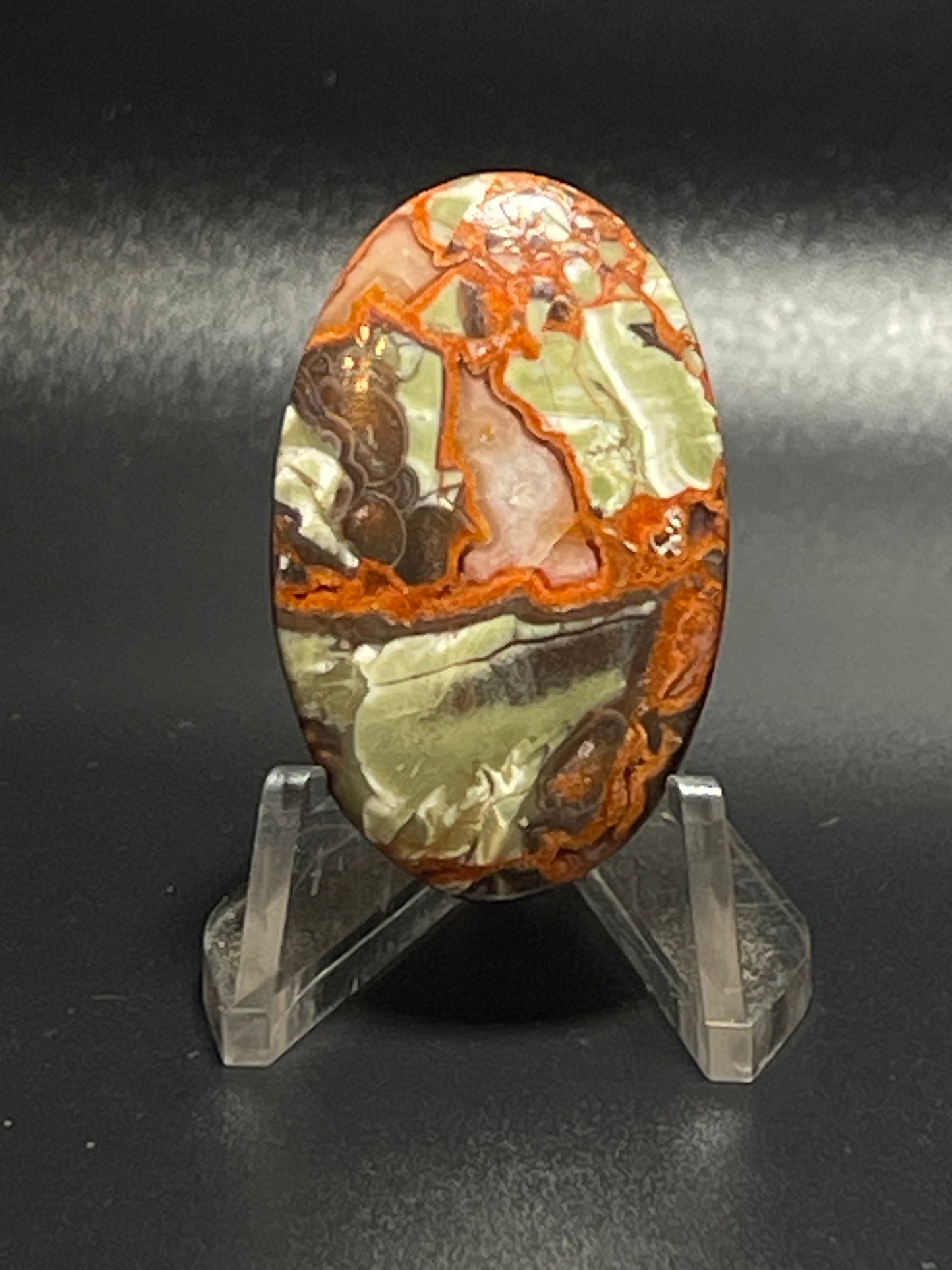 Leopard Jasper #LJ5