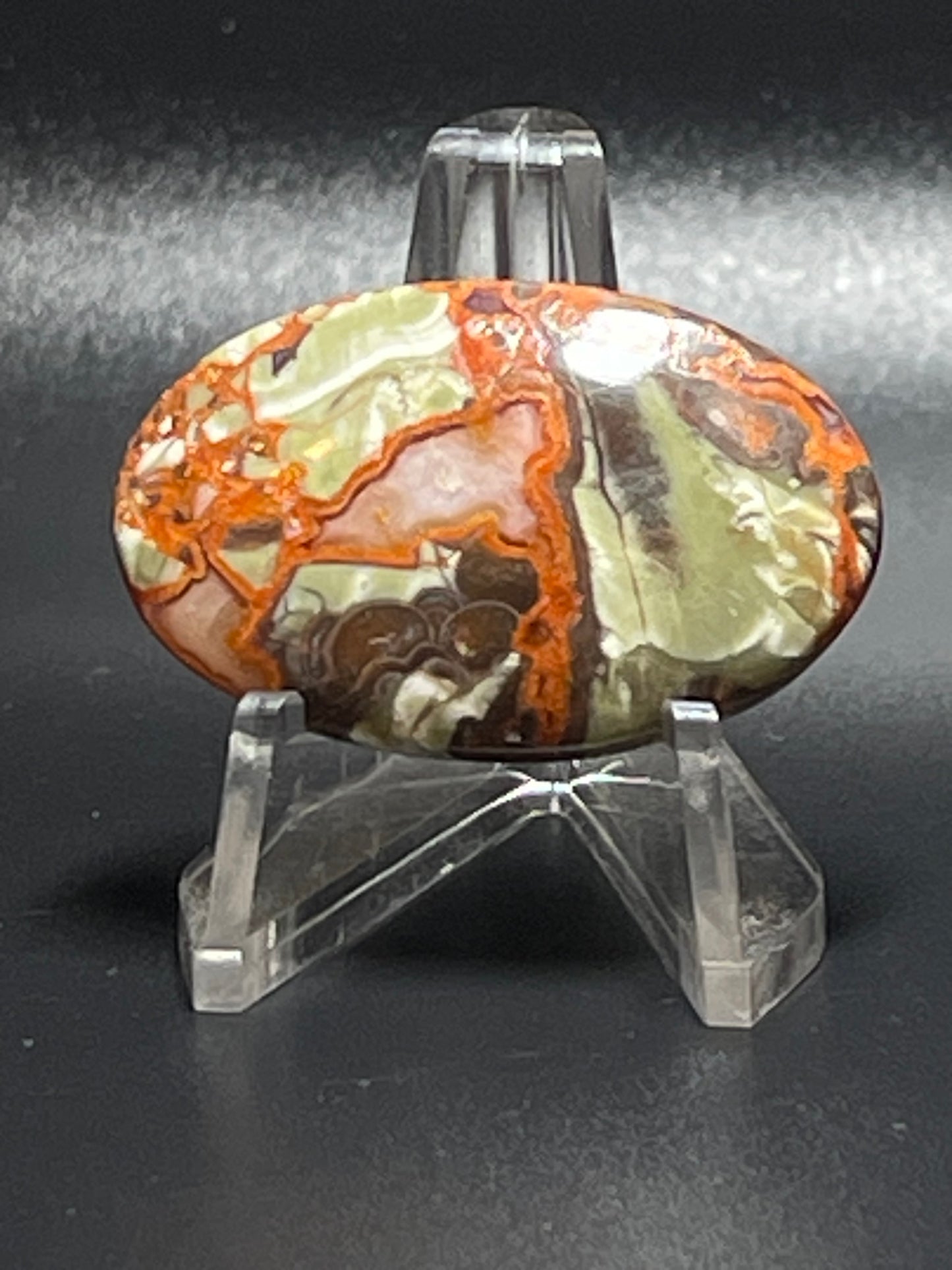 Leopard Jasper #LJ5