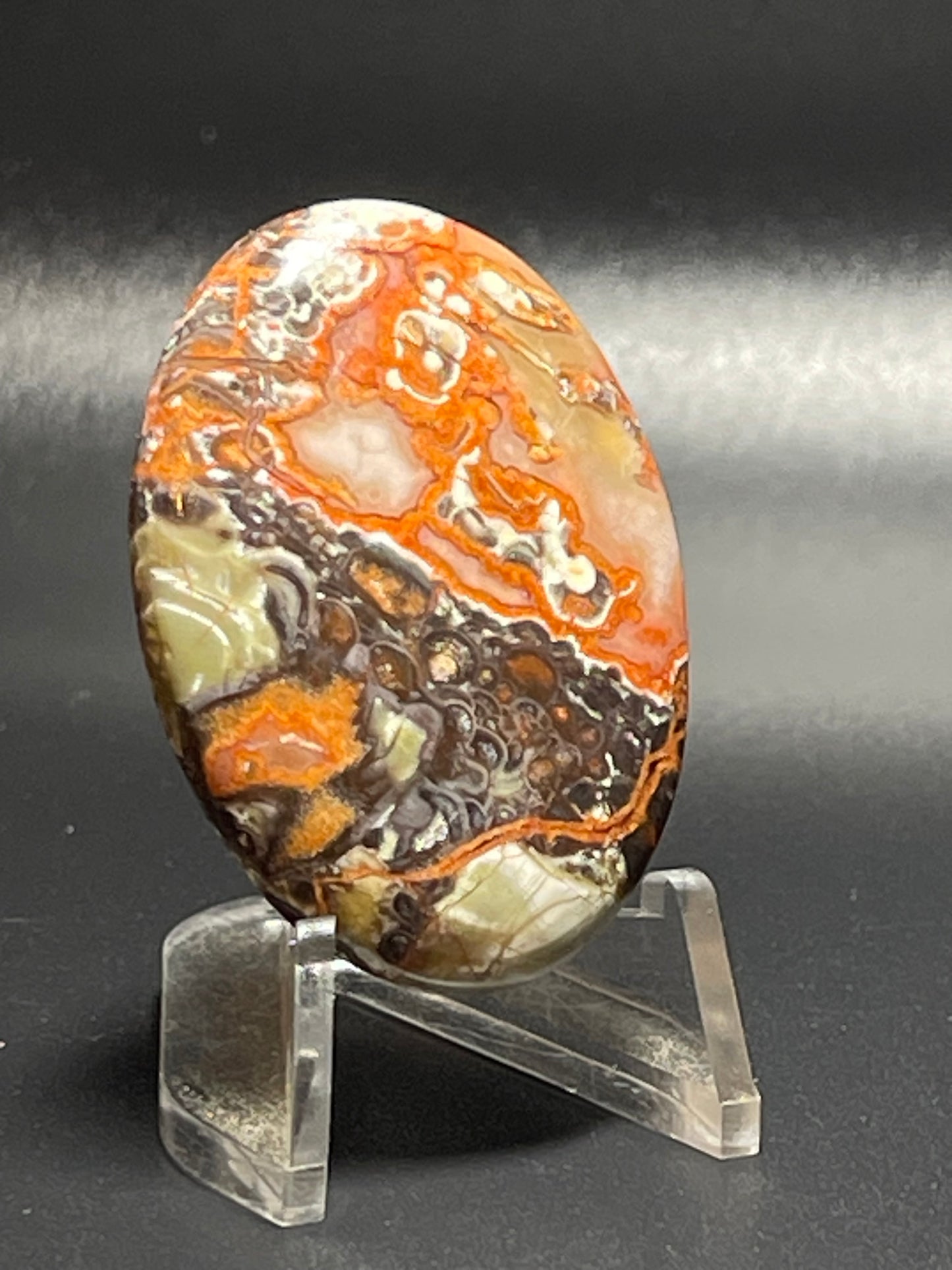 Leopard Jasper #LJ14