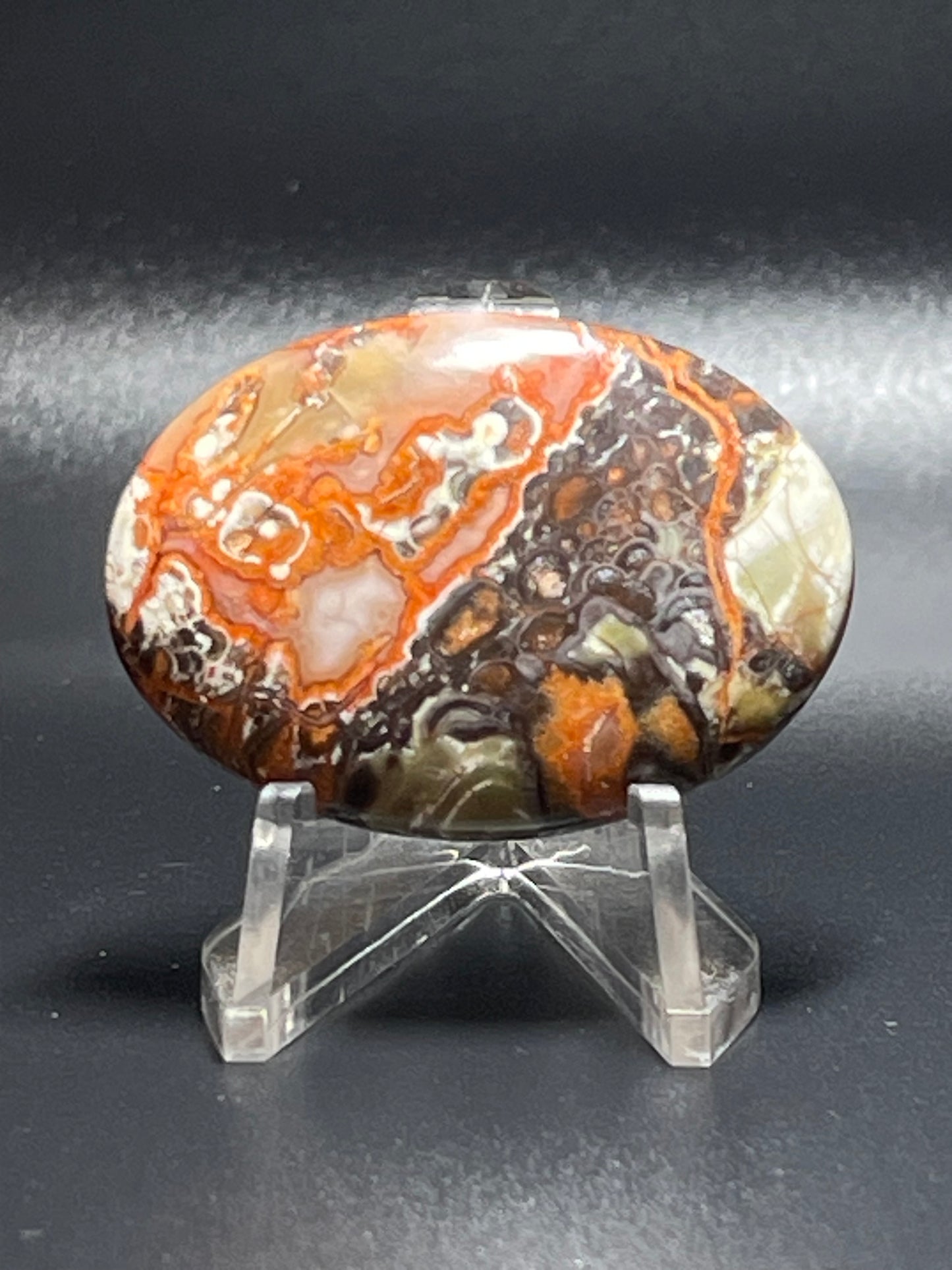 Leopard Jasper #LJ14