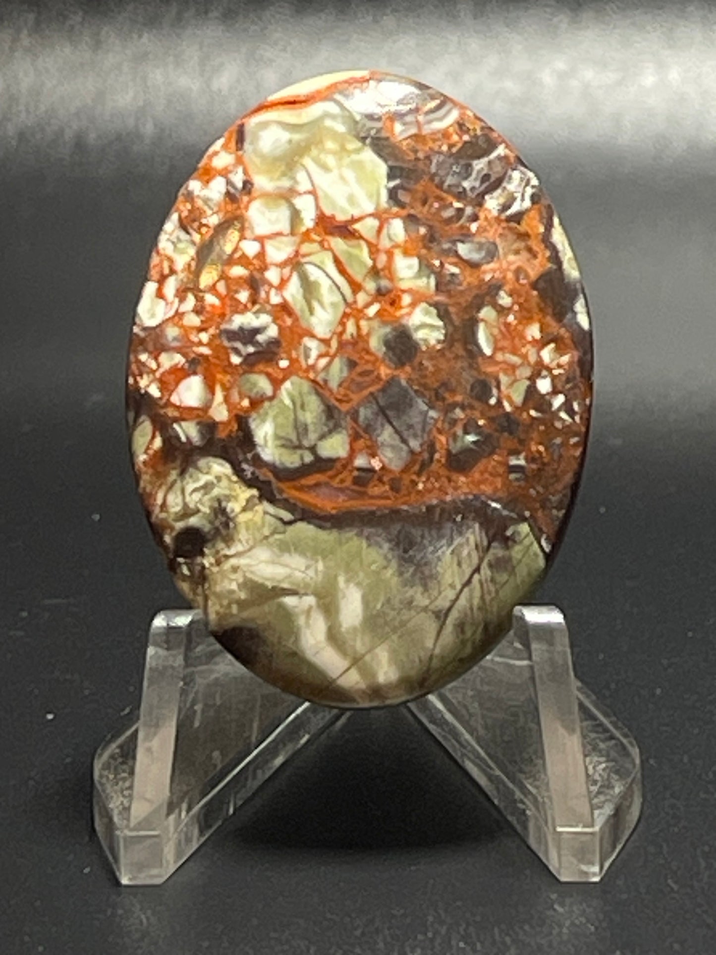 Leopard Jasper LJ9