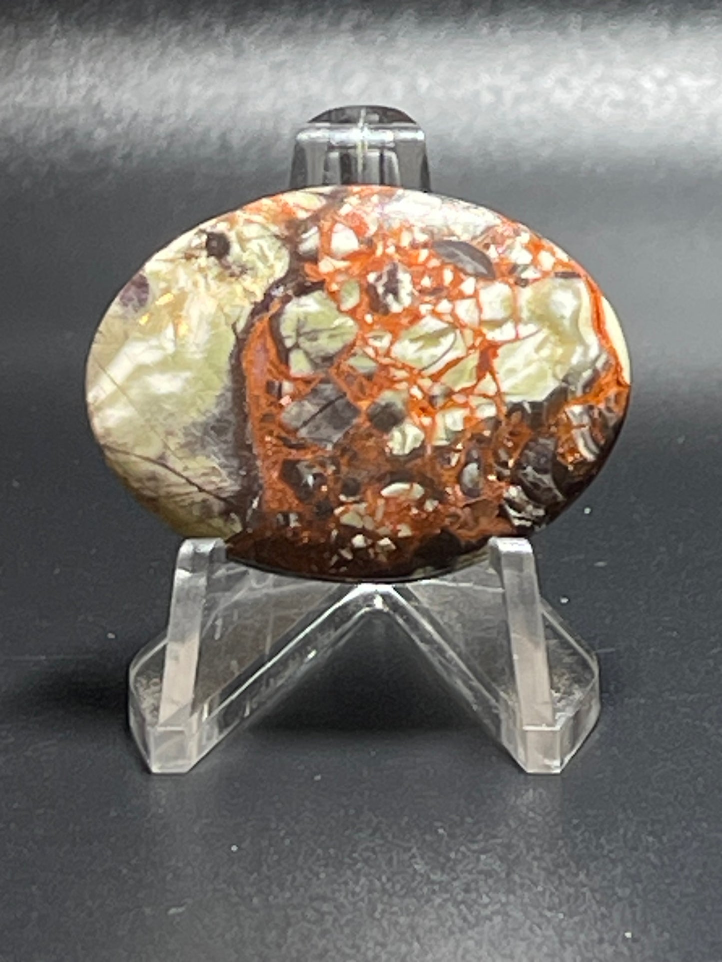 Leopard Jasper LJ9
