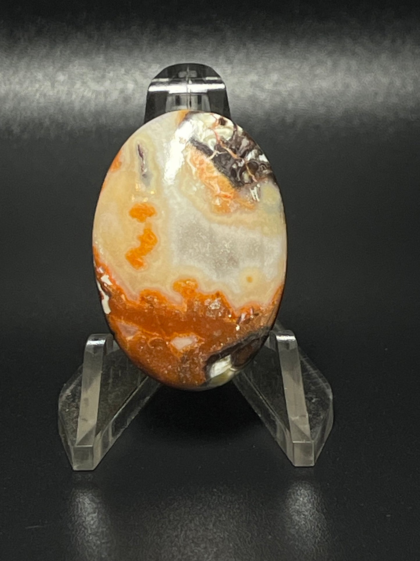 Leopard Jasper #LJ13