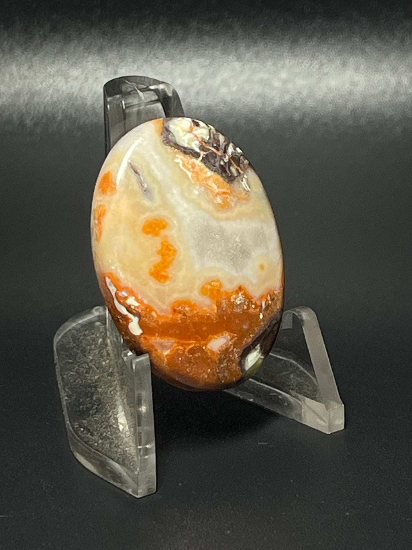 Leopard Jasper #LJ13