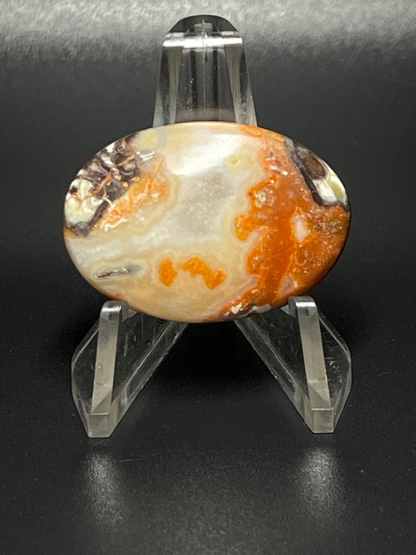 Leopard Jasper #LJ13