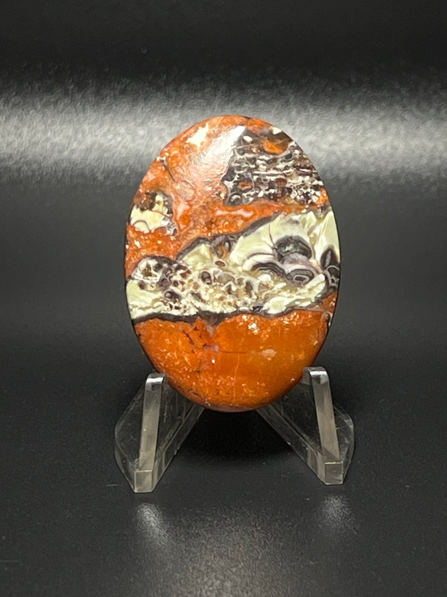 Leopard Jasper #LJ2