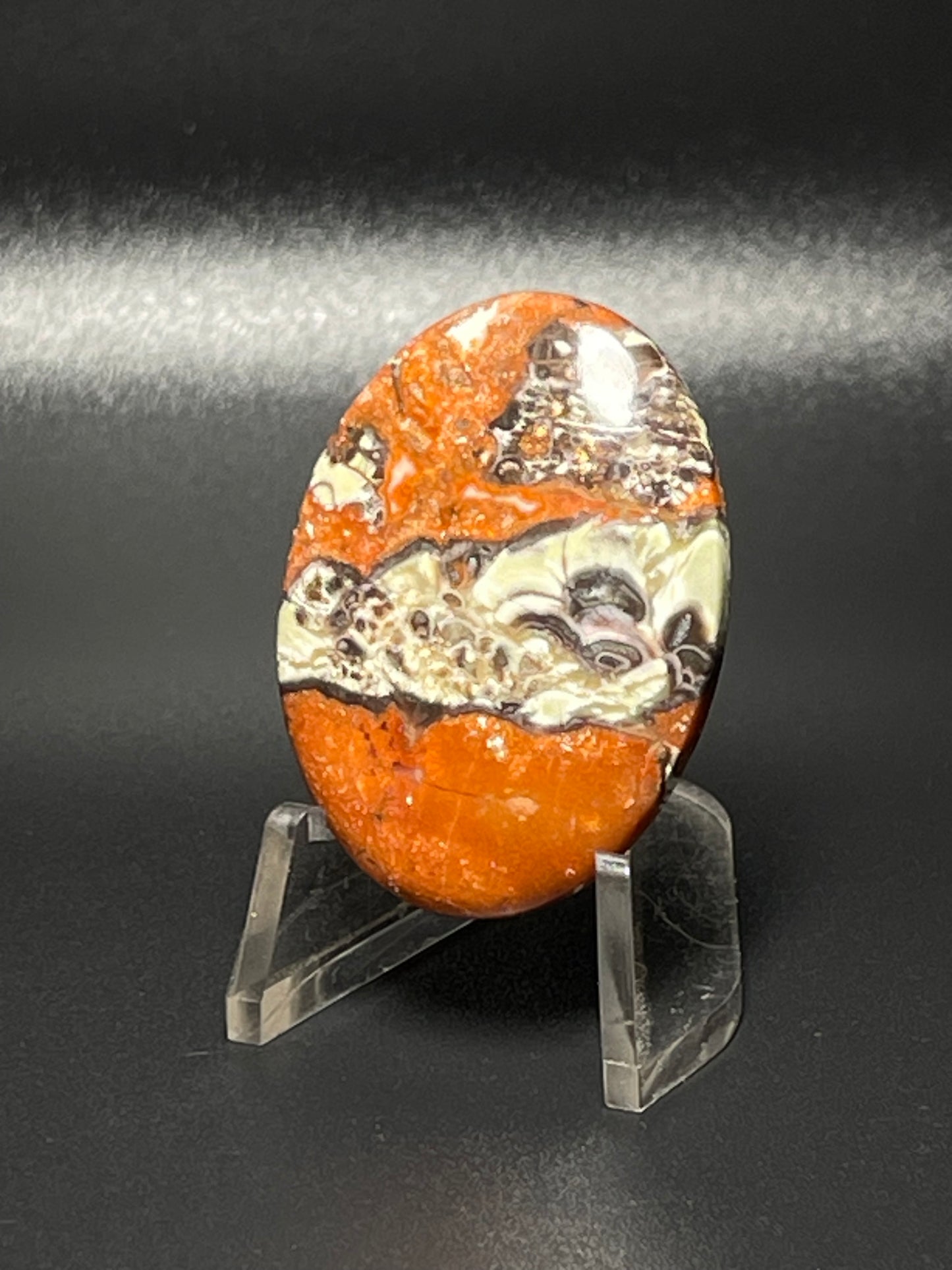 Leopard Jasper #LJ2