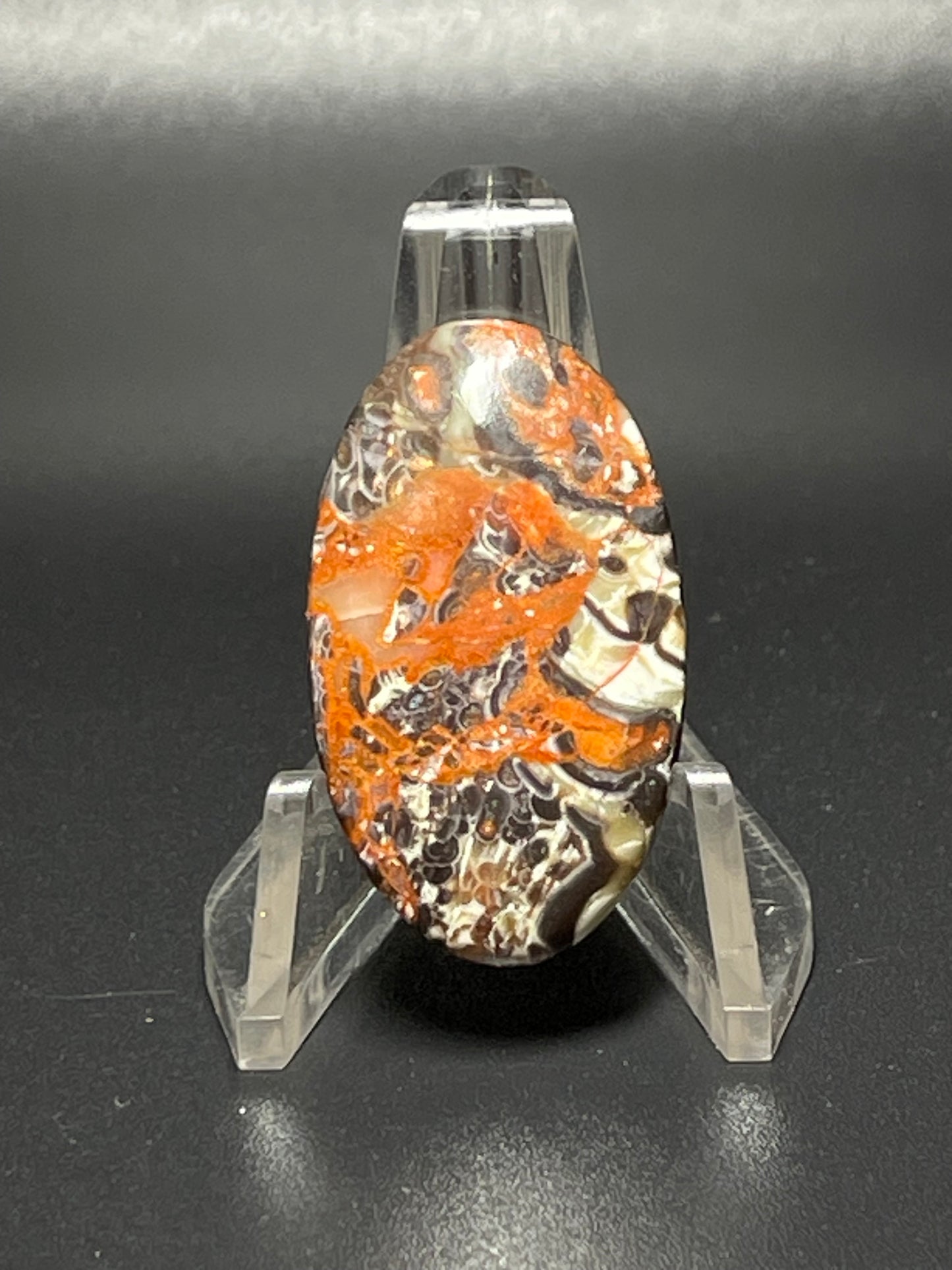 Leopard Jasper #LJ12