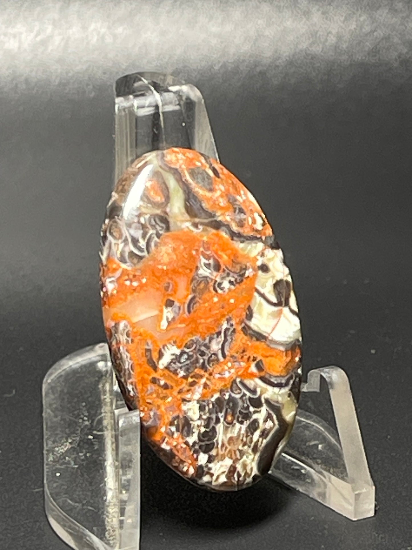 Leopard Jasper #LJ12