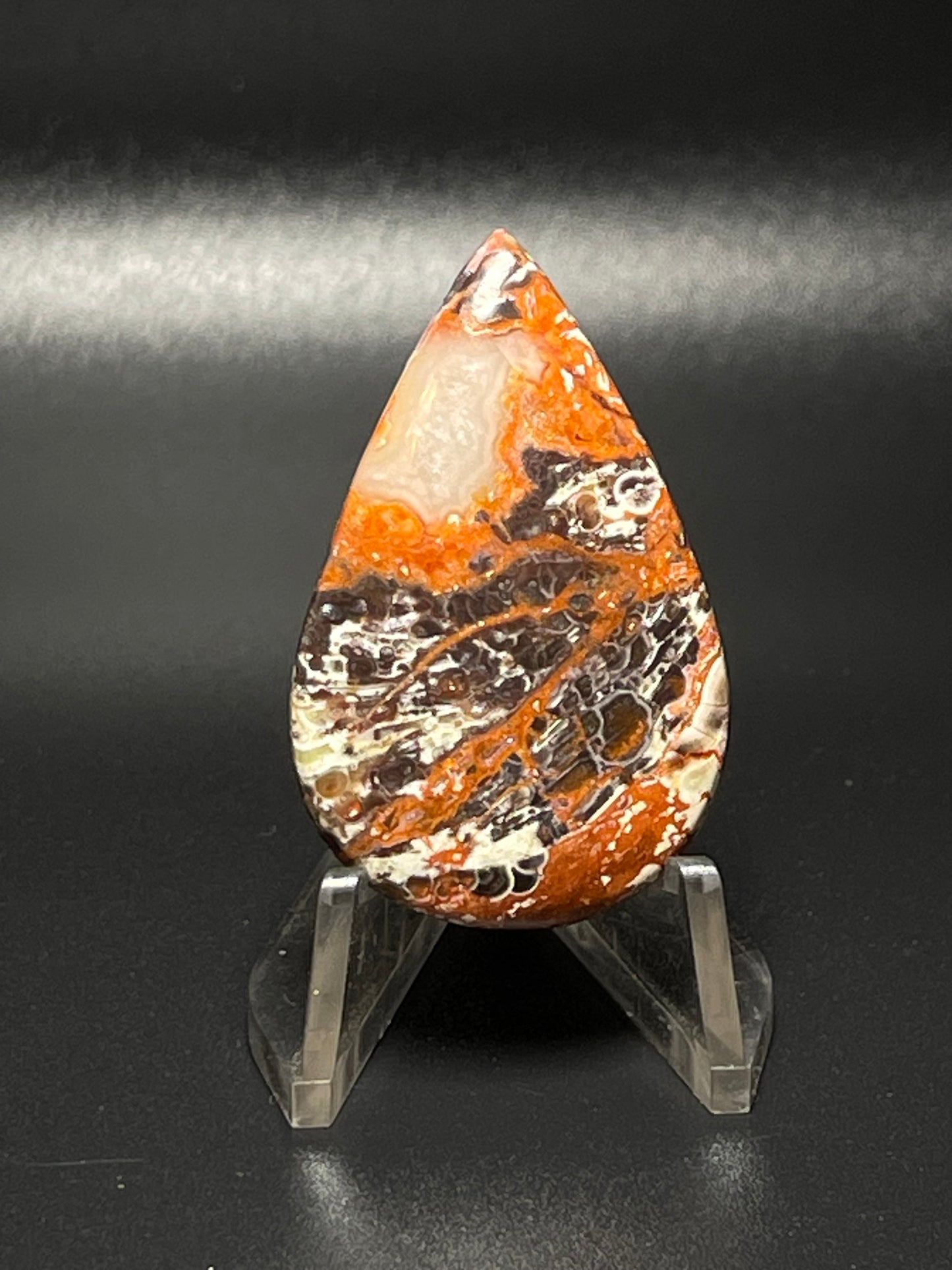 Leopard Jasper #LJ10