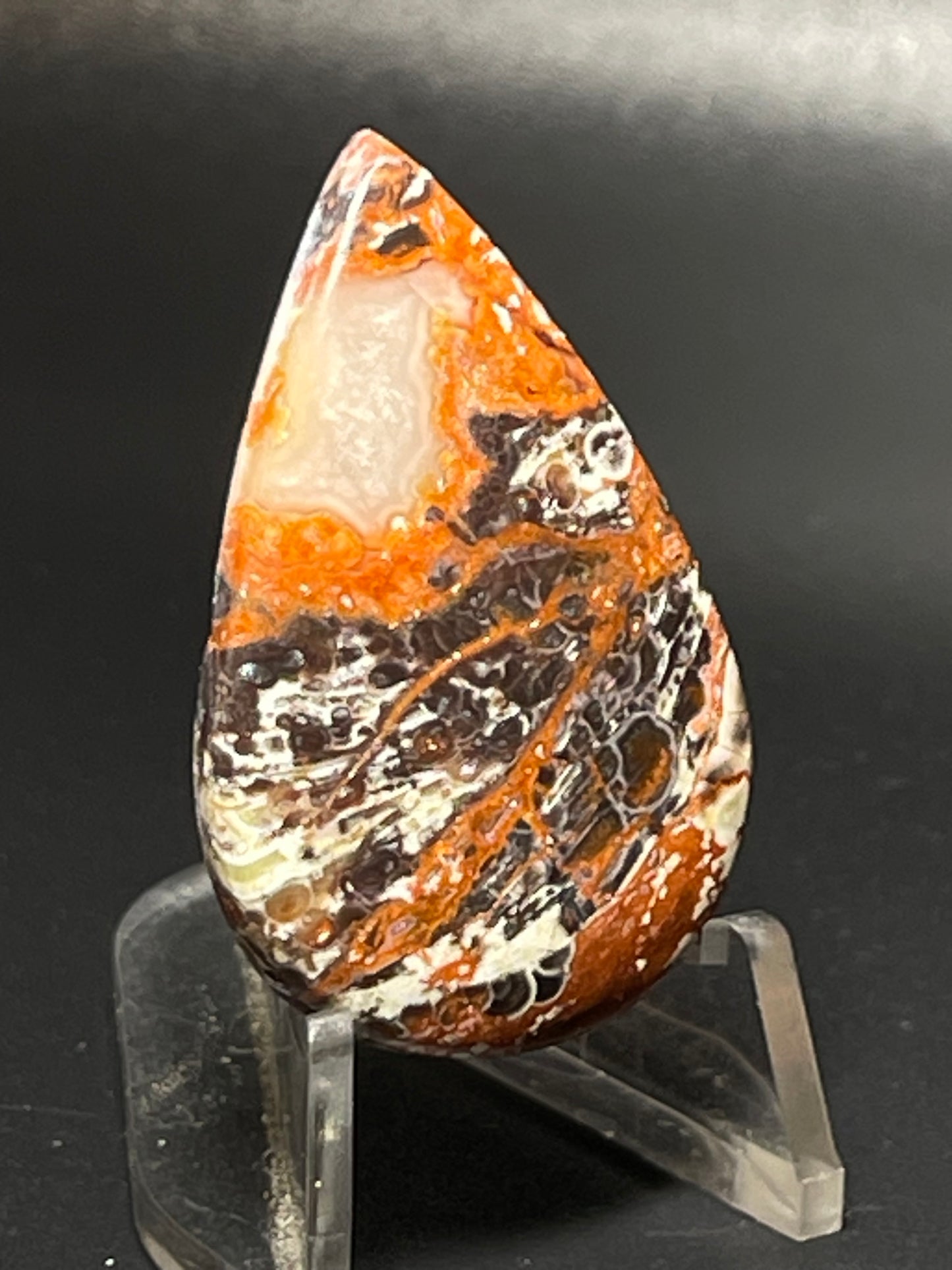 Leopard Jasper #LJ10