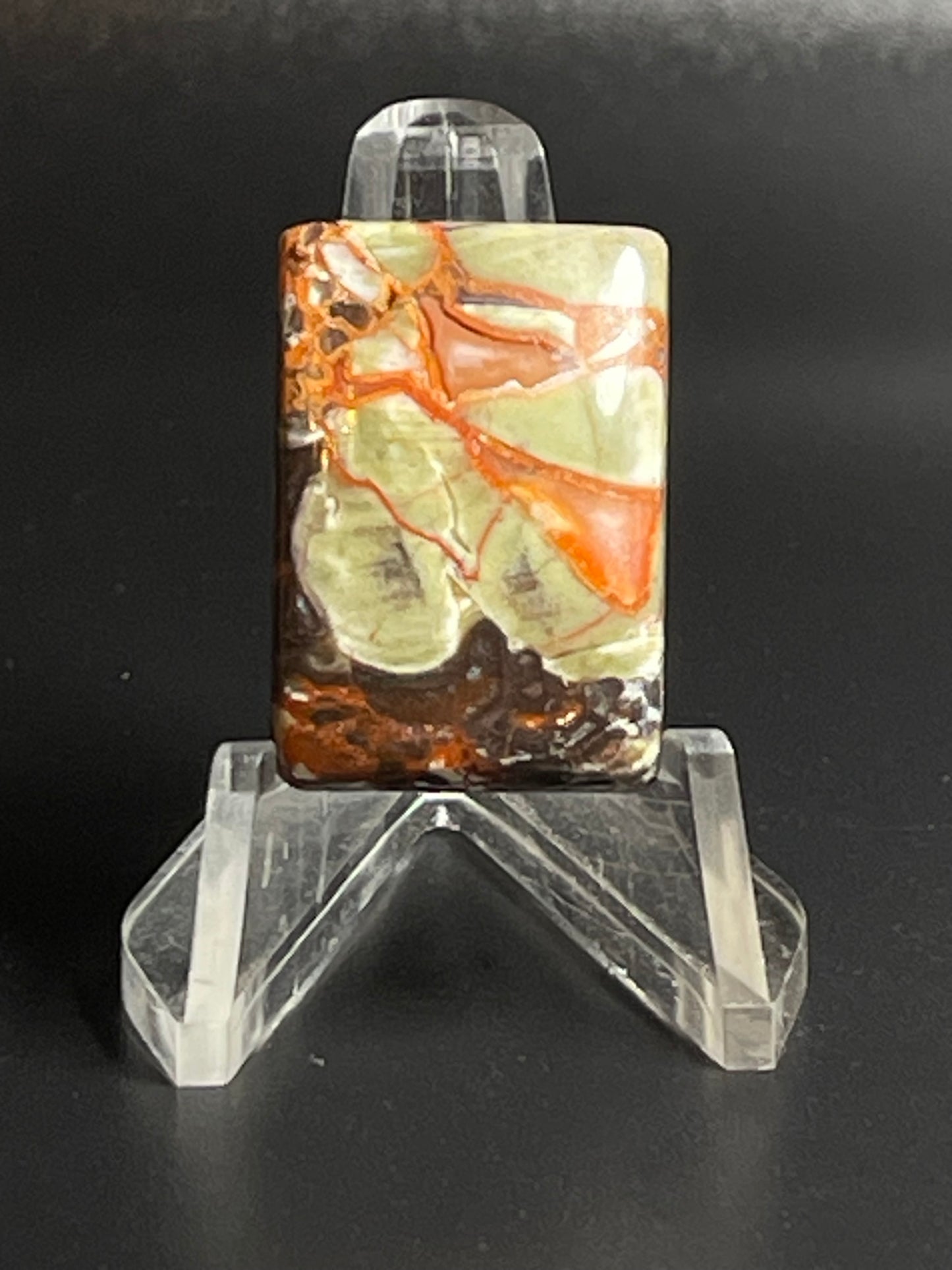Leopard Jasper #LJ6
