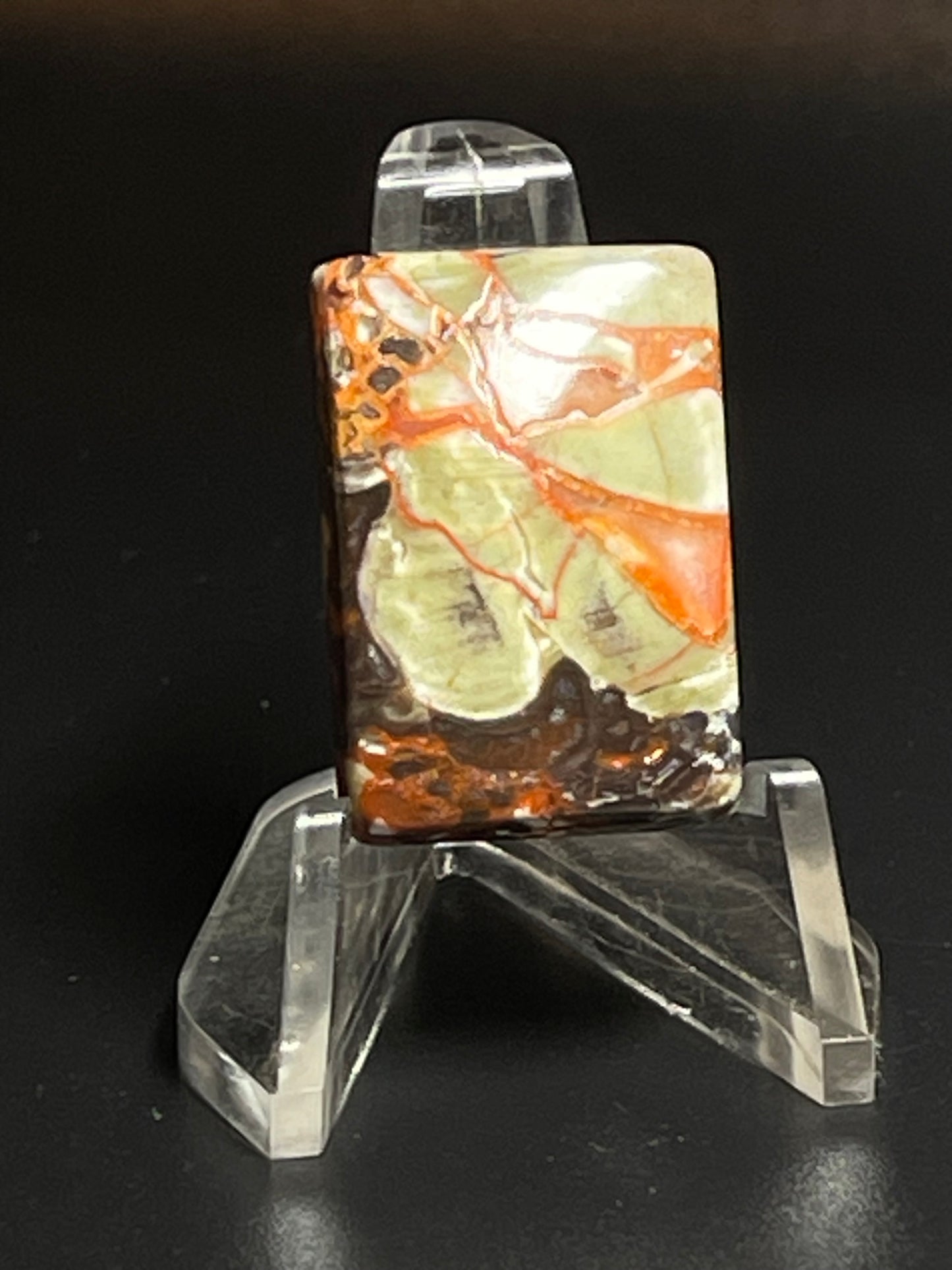 Leopard Jasper #LJ6