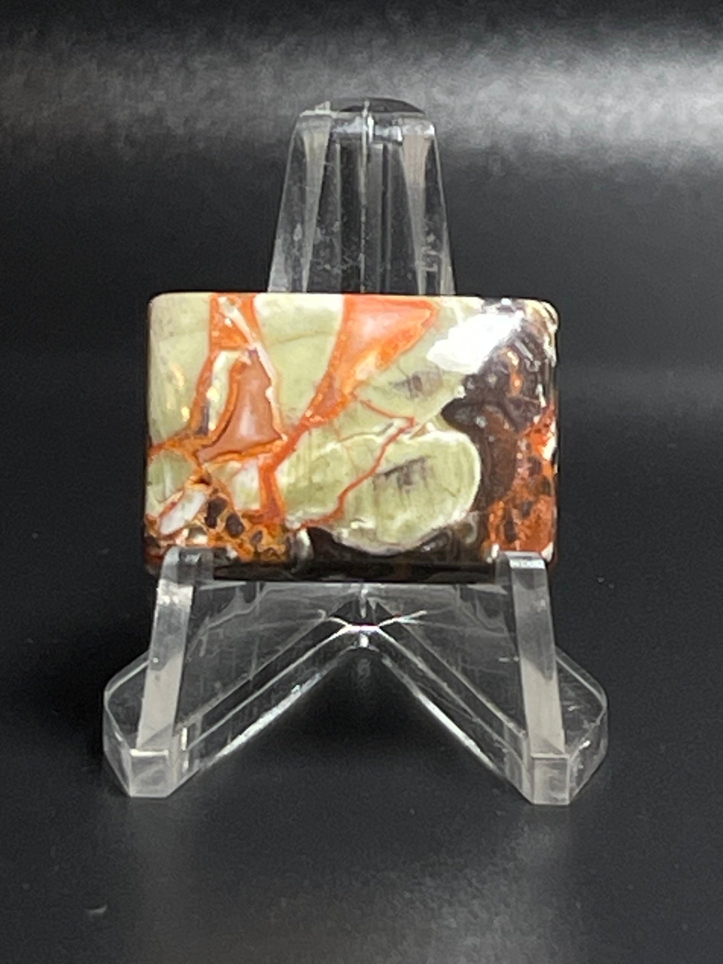 Leopard Jasper #LJ6