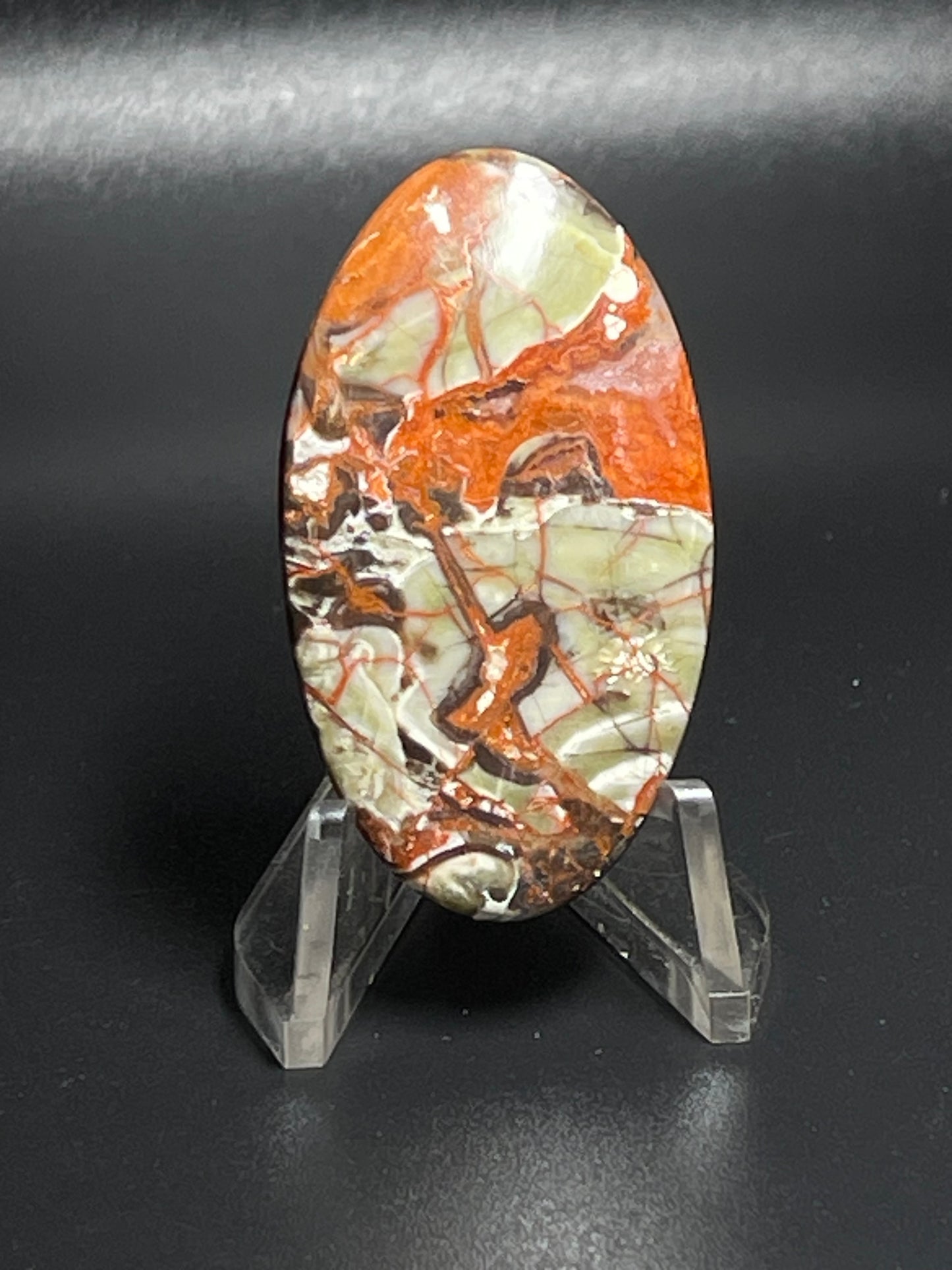 Leopard Jasper #LJ8
