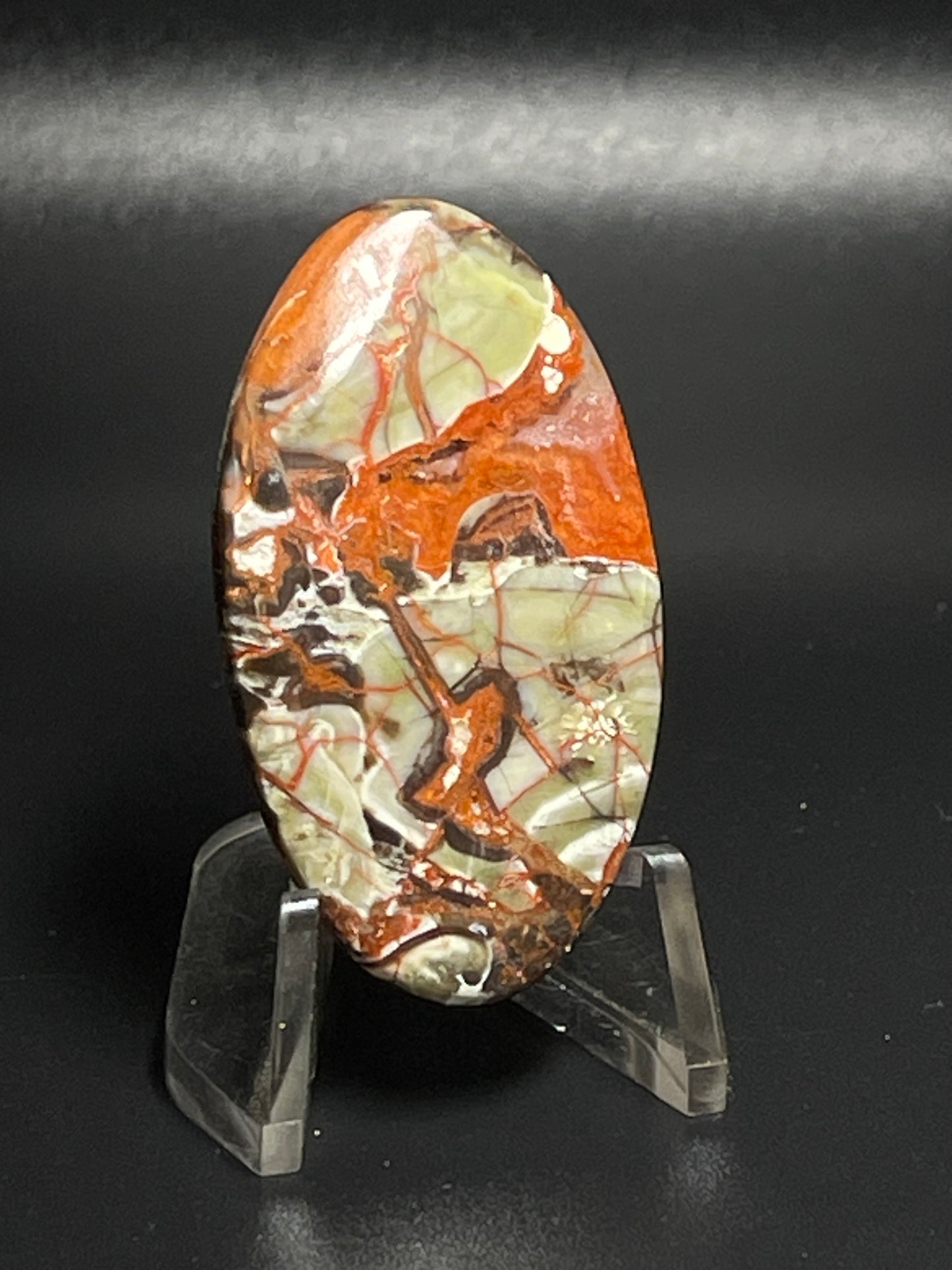 Leopard Jasper #LJ8