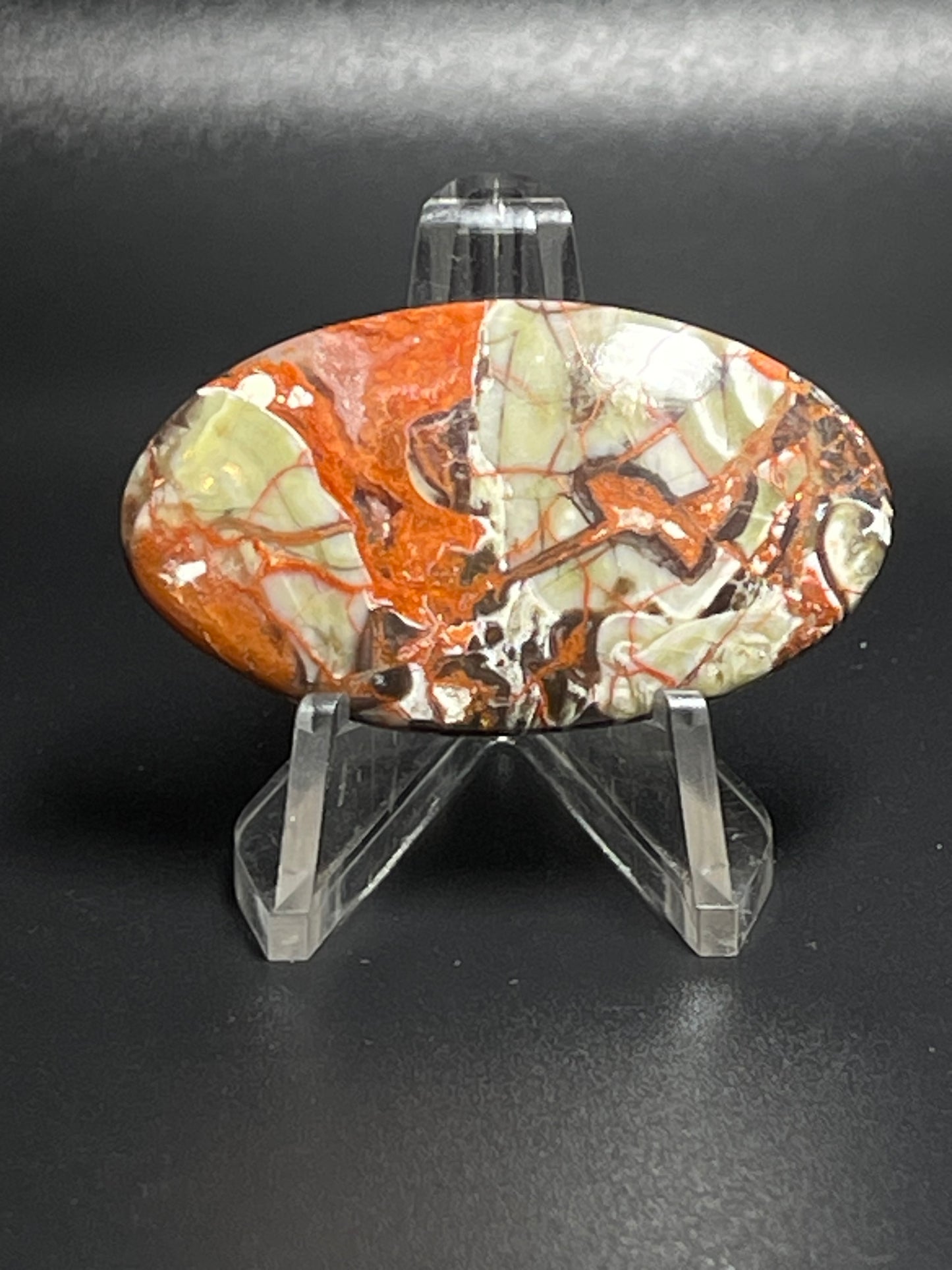 Leopard Jasper #LJ8
