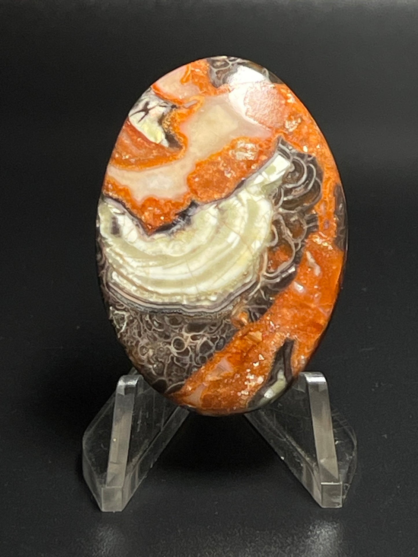 Leopard Jasper #LJ15