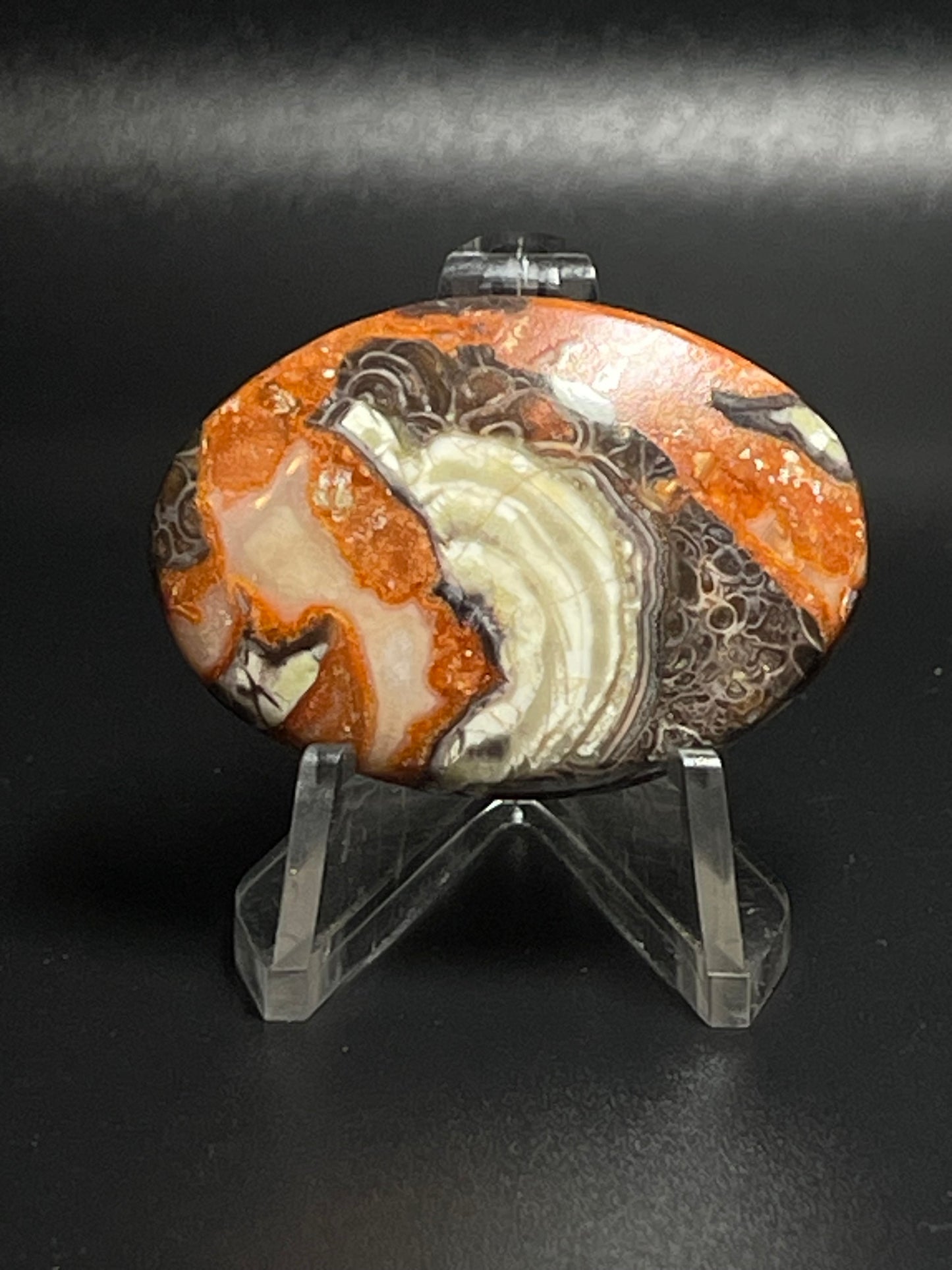 Leopard Jasper #LJ15