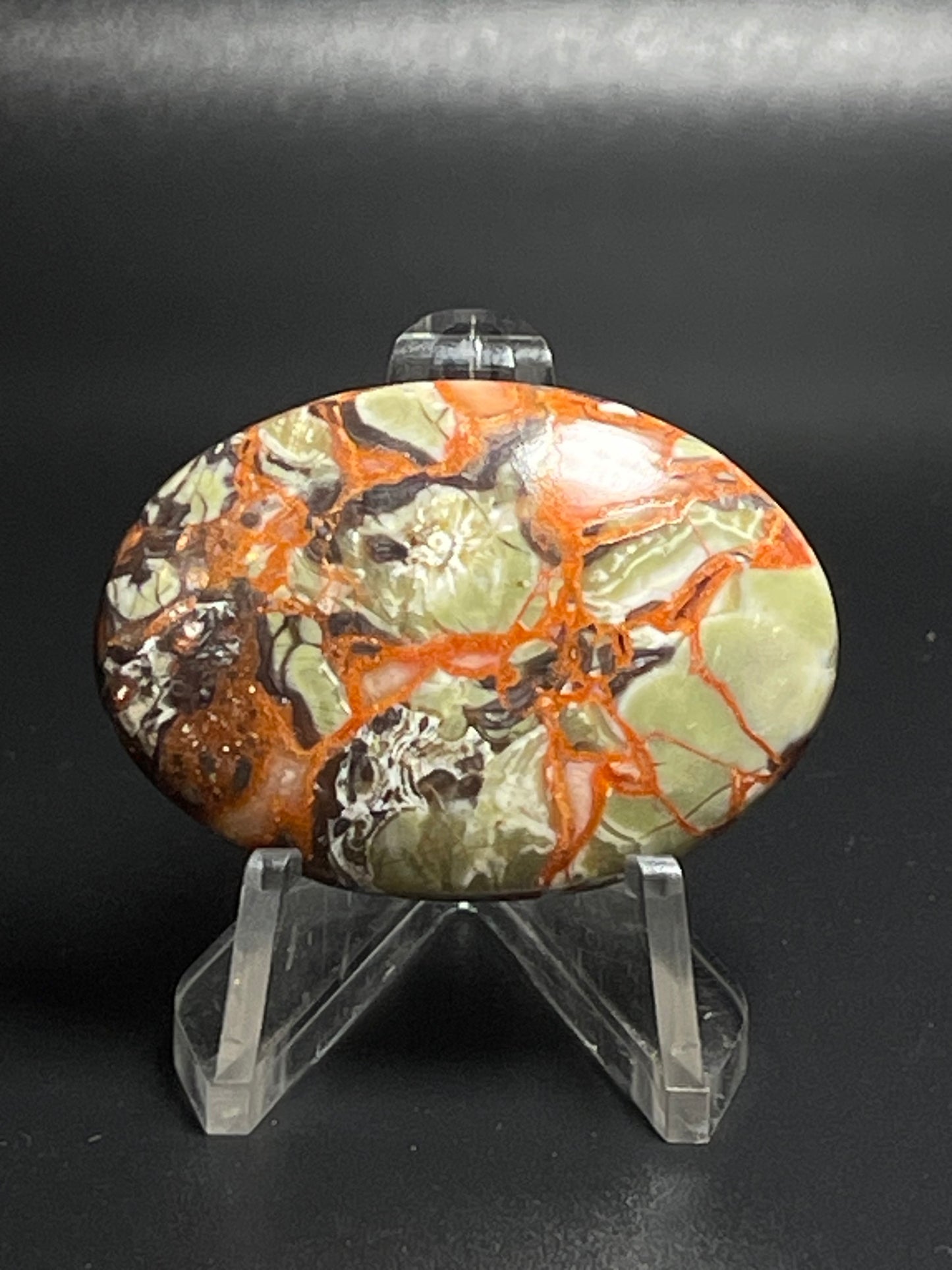 Leopard Jasper Cabochon # LJ3