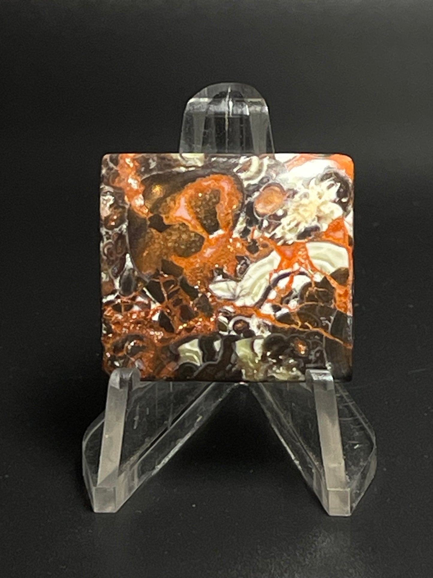 Leopard Jasper #LJ1