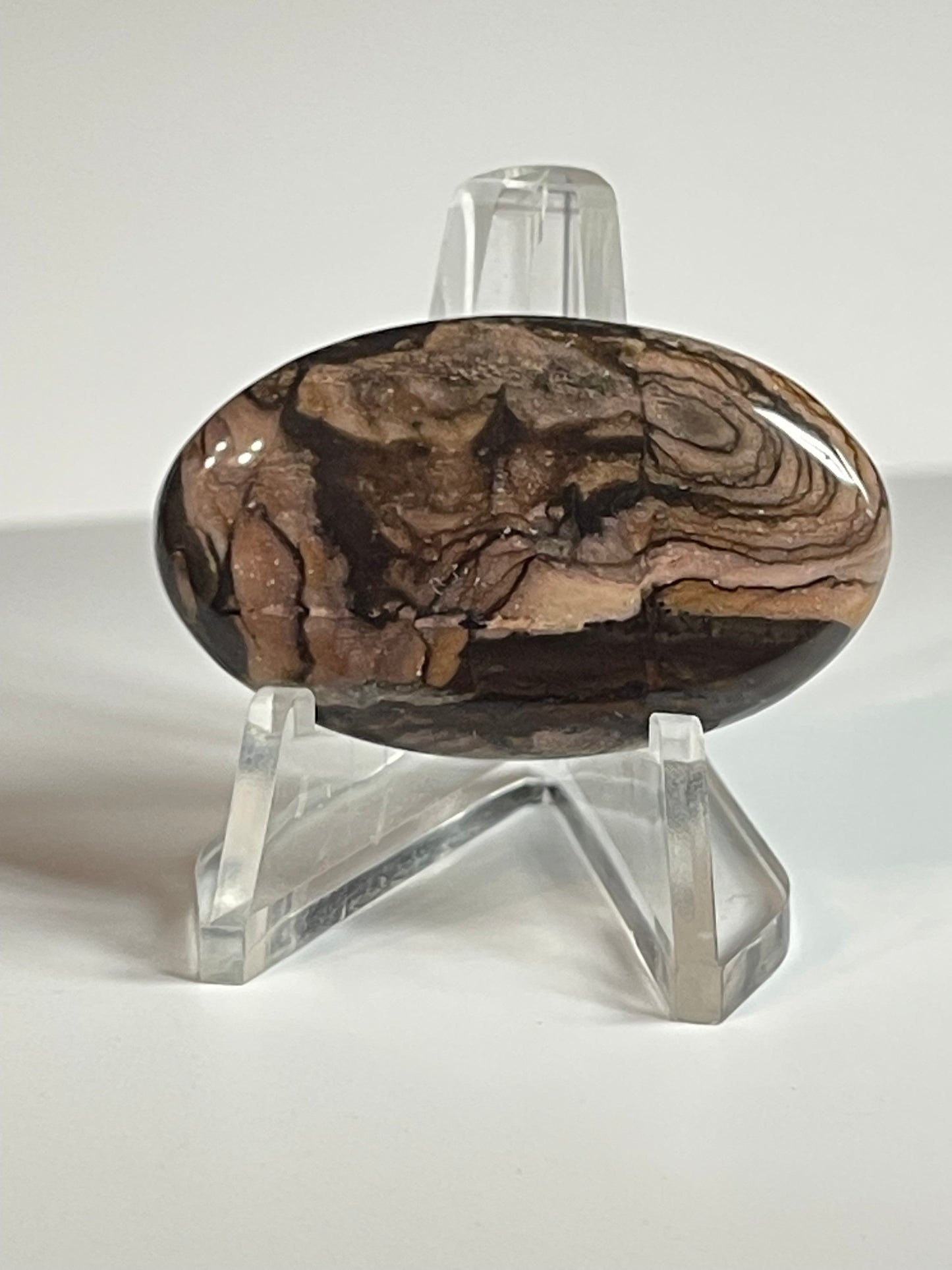 Australian Picture Jasper #APJ2