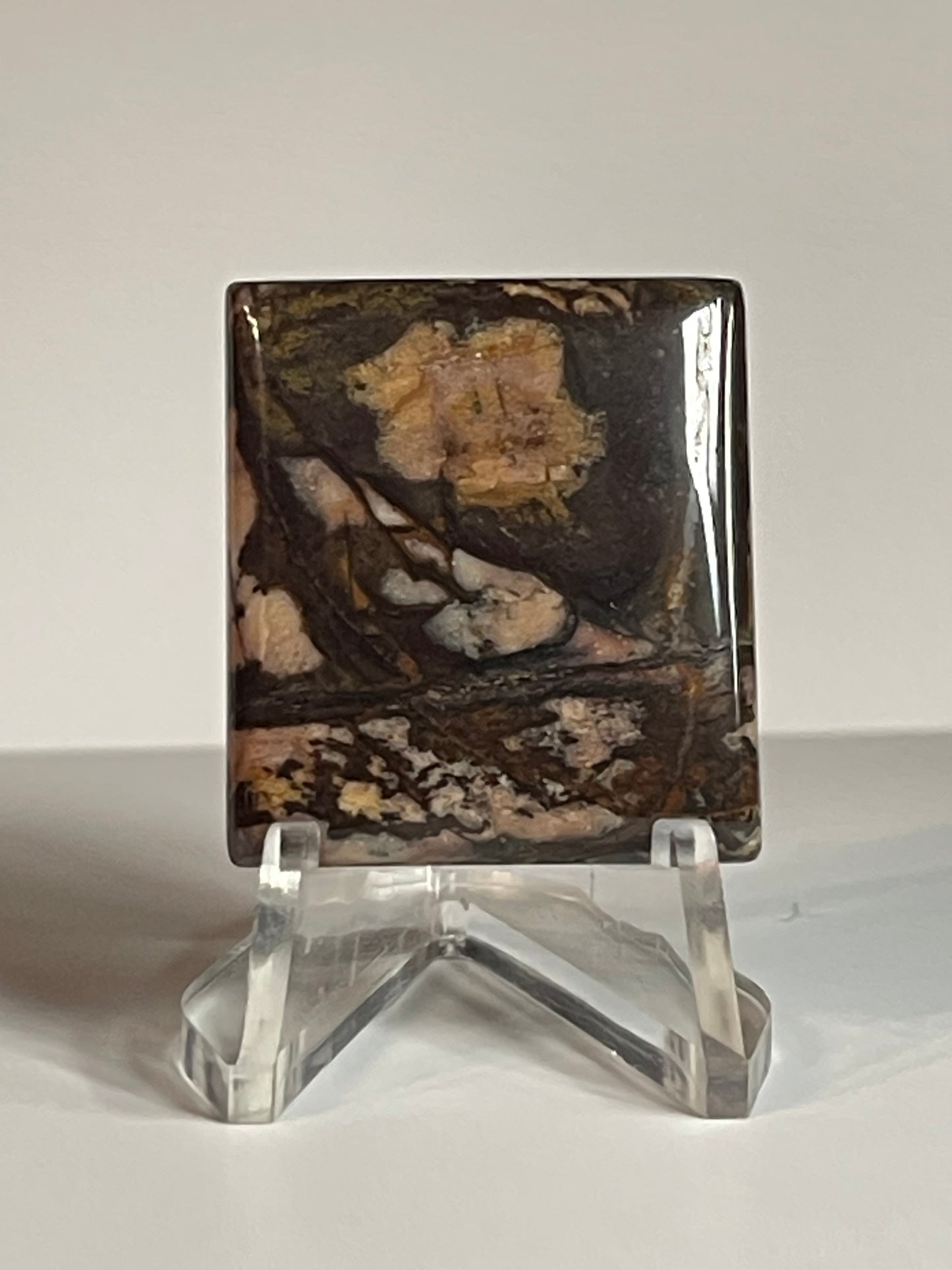 Australian Picture Jasper #APJ5