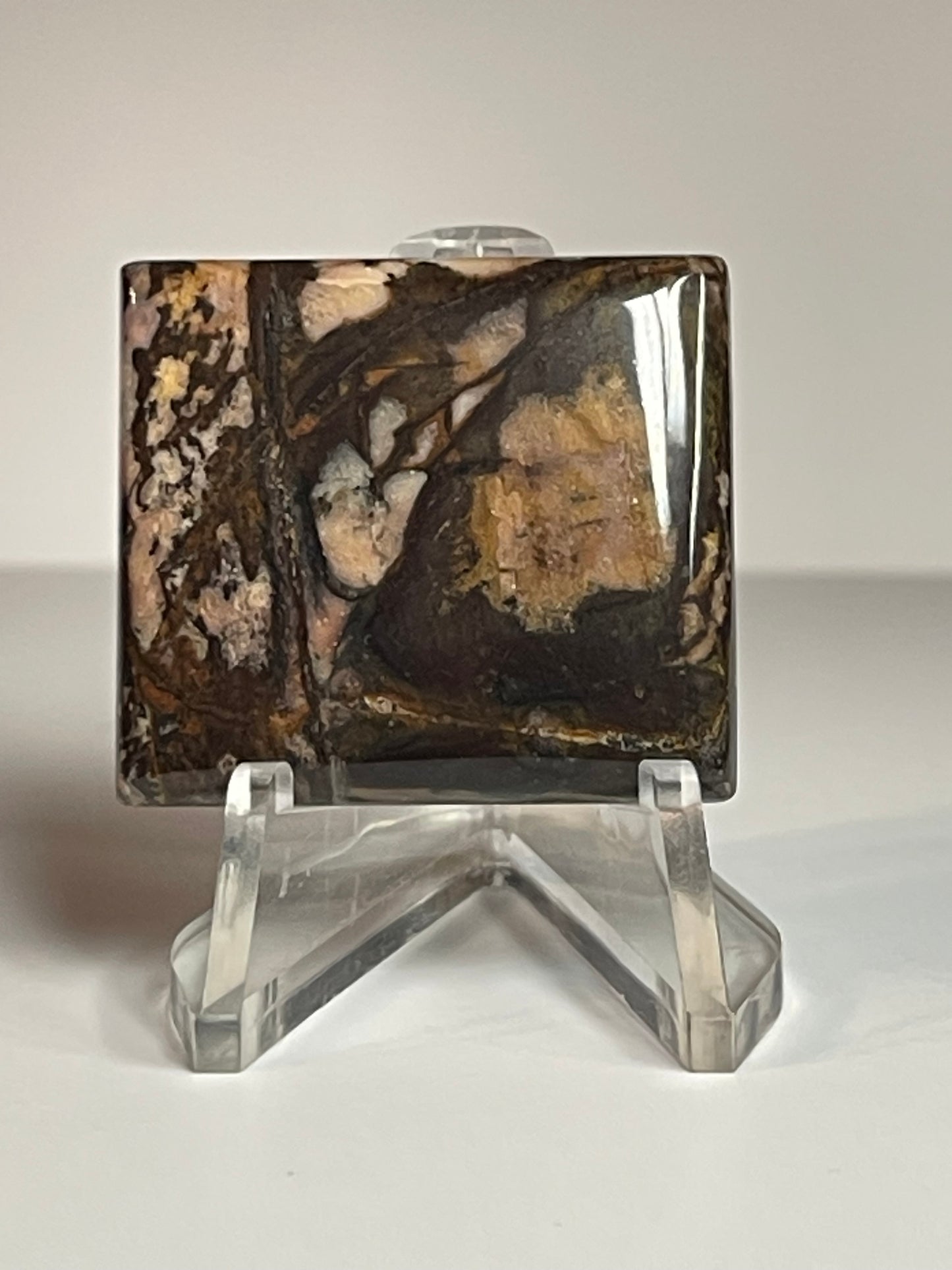 Australian Picture Jasper #APJ5