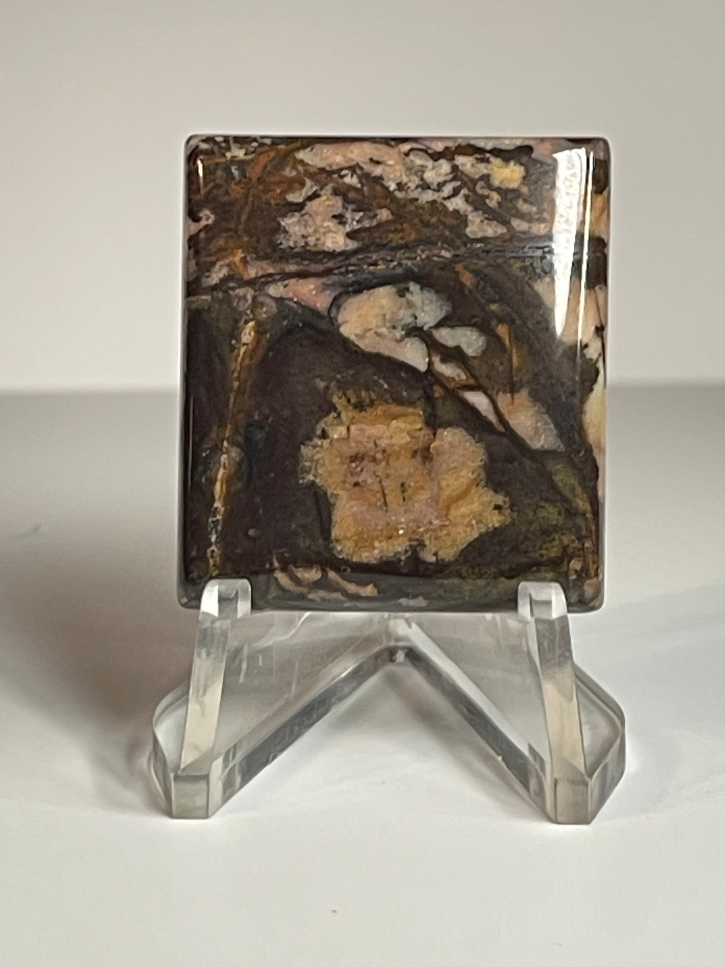 Australian Picture Jasper #APJ5