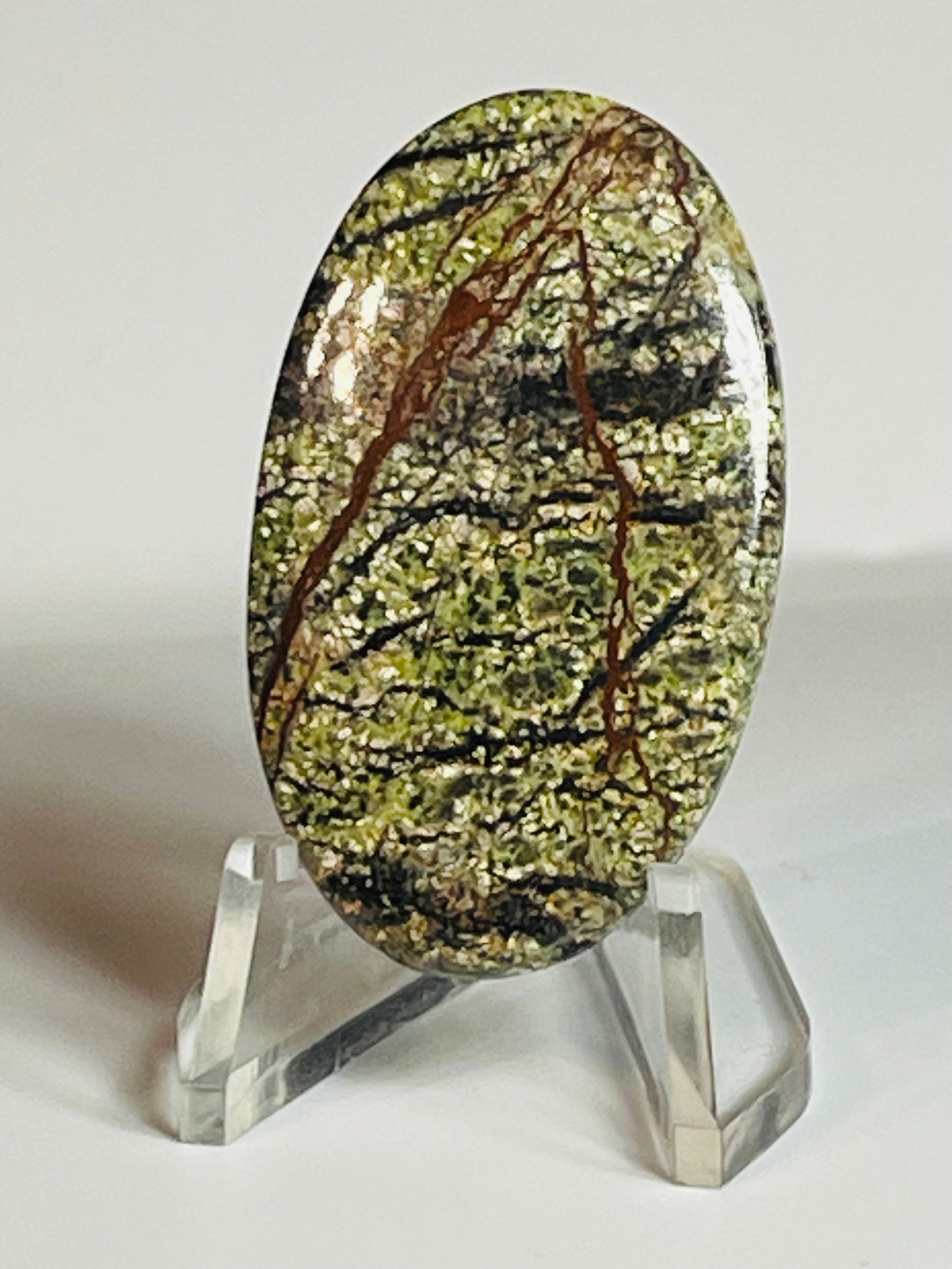 Multi Zebra Jasper #MZJ4