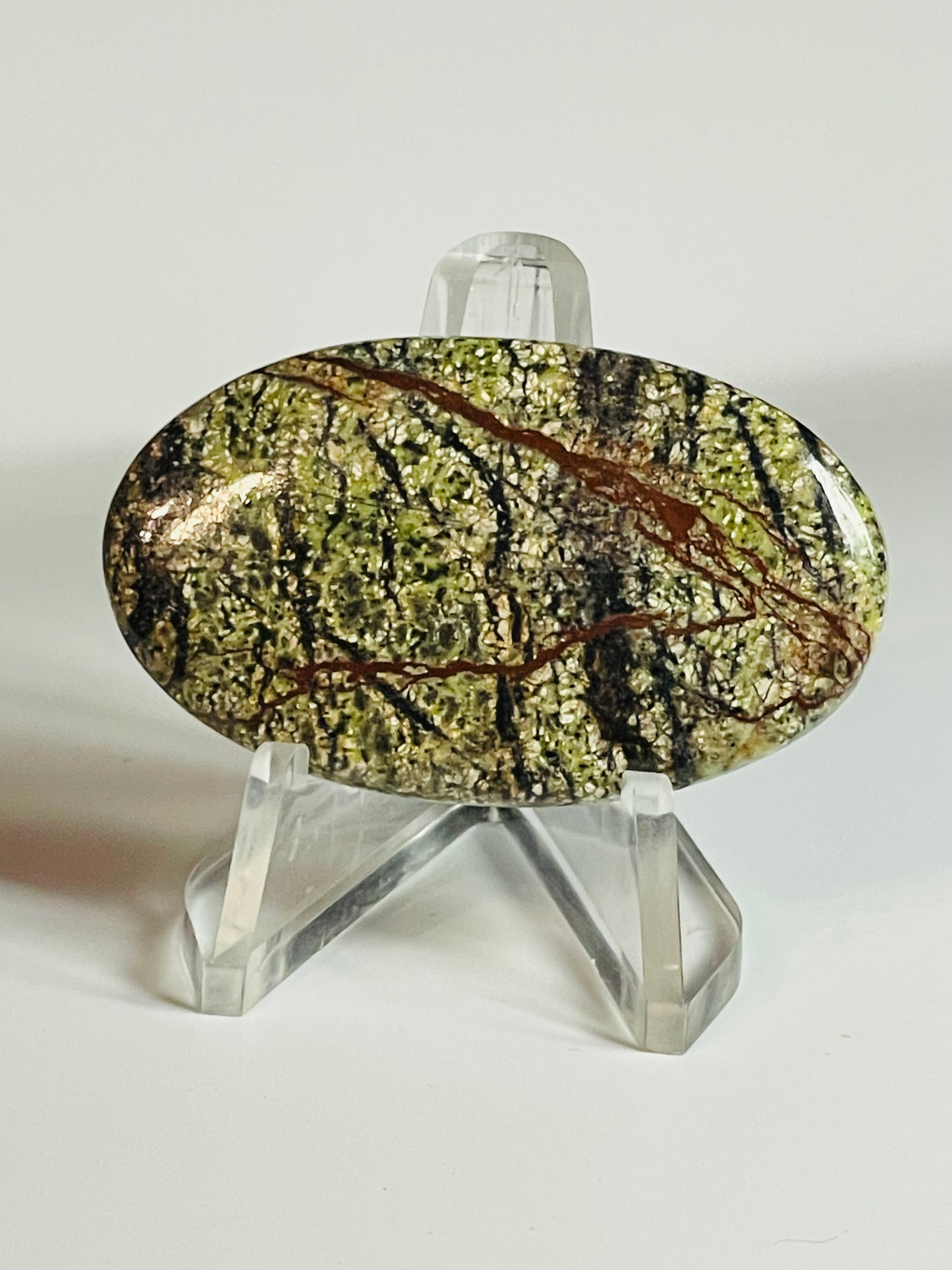 Multi Zebra Jasper #MZJ4
