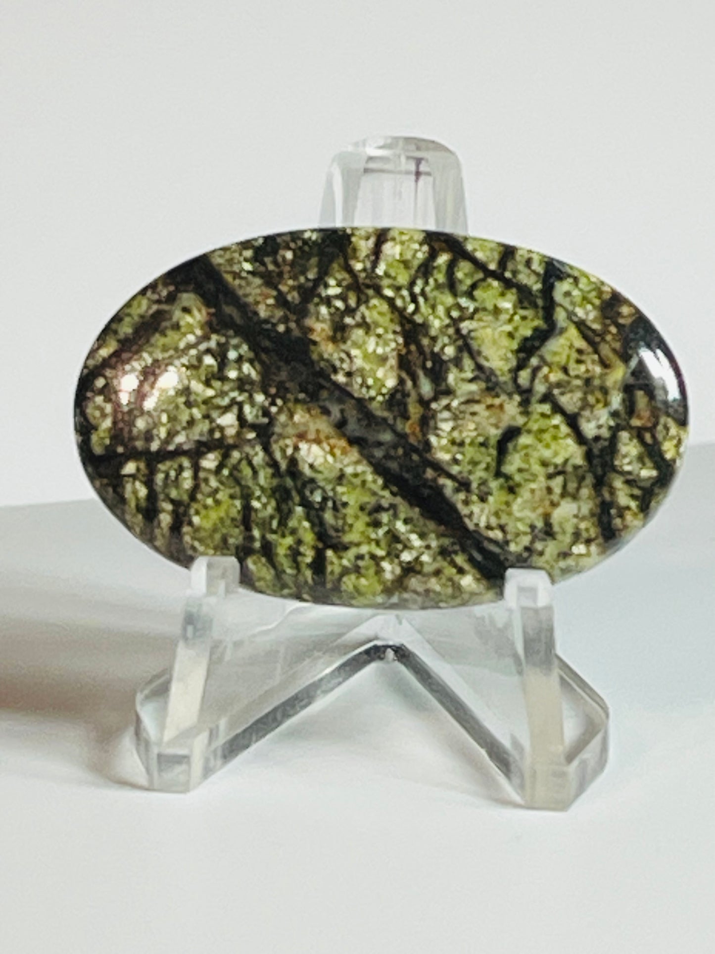 Multi Zebra Jasper #MZJ3