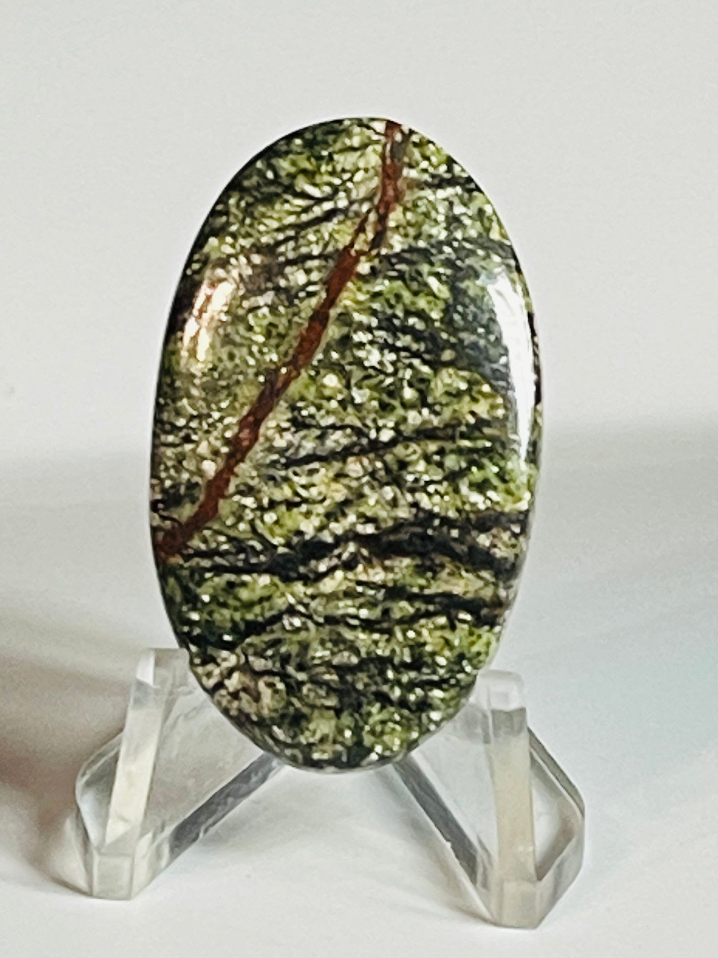 Multi Zebra Jasper #MZJ1