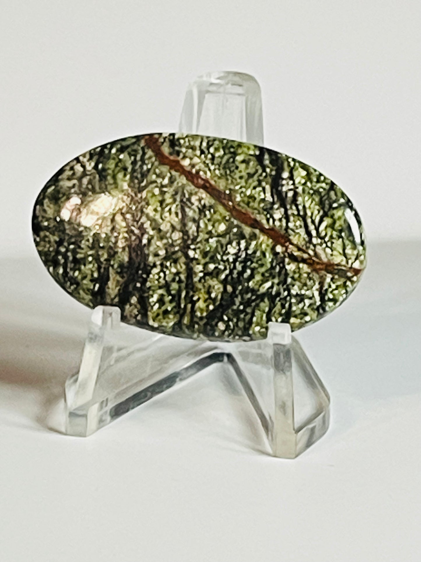 Multi Zebra Jasper #MZJ1