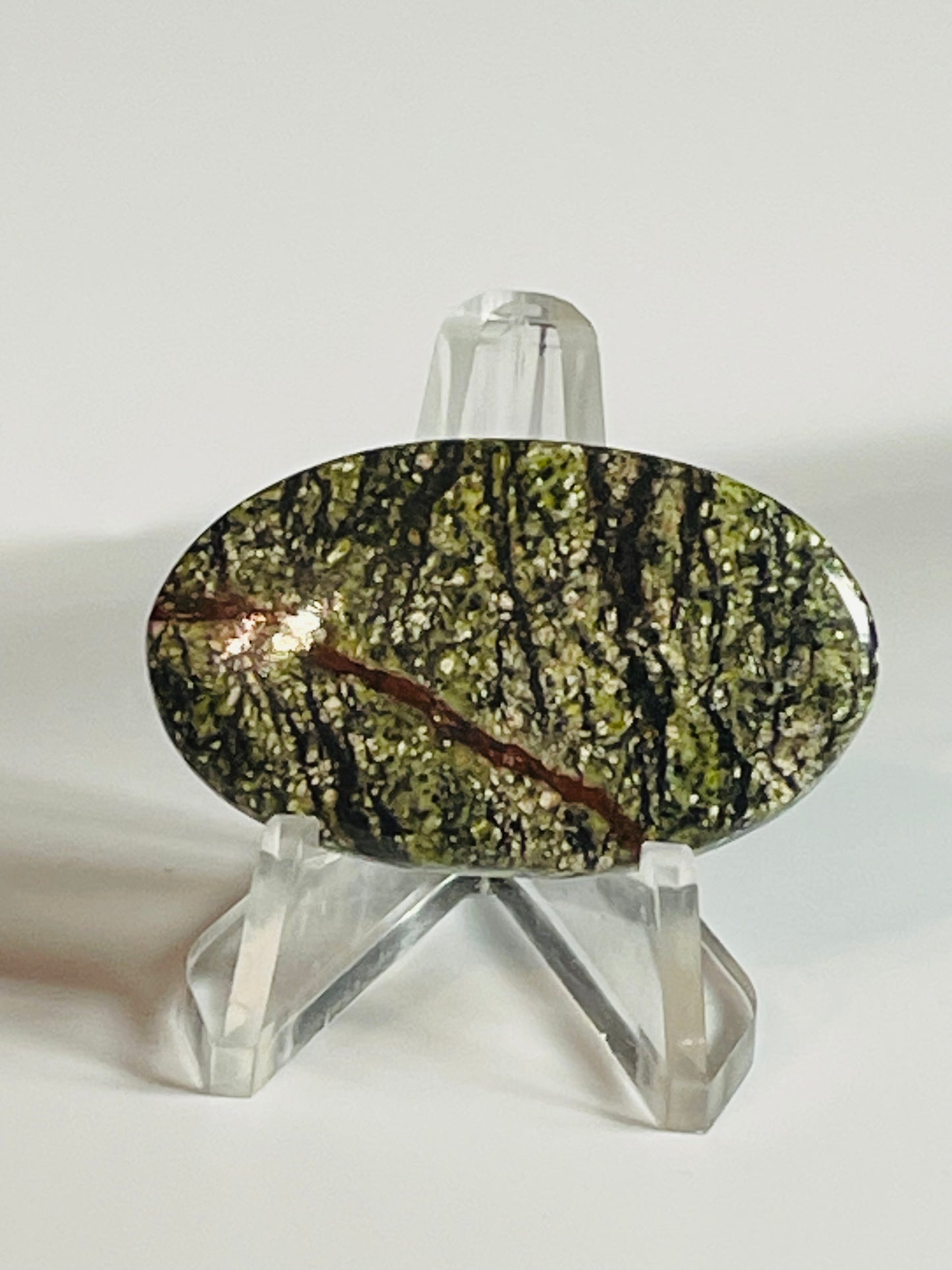 Multi Zebra Jasper #MZJ1