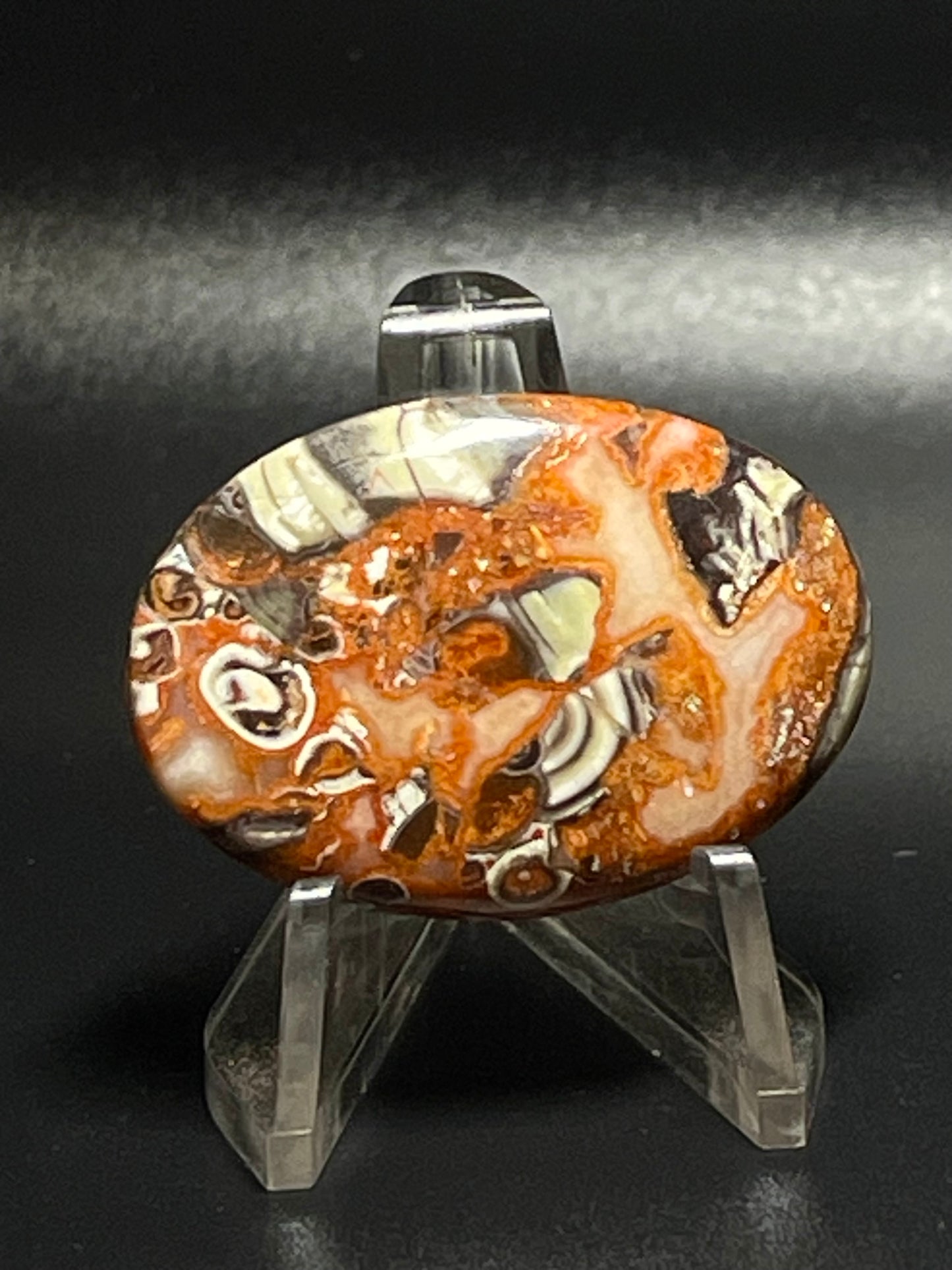 Leopard Jasper #LJ7