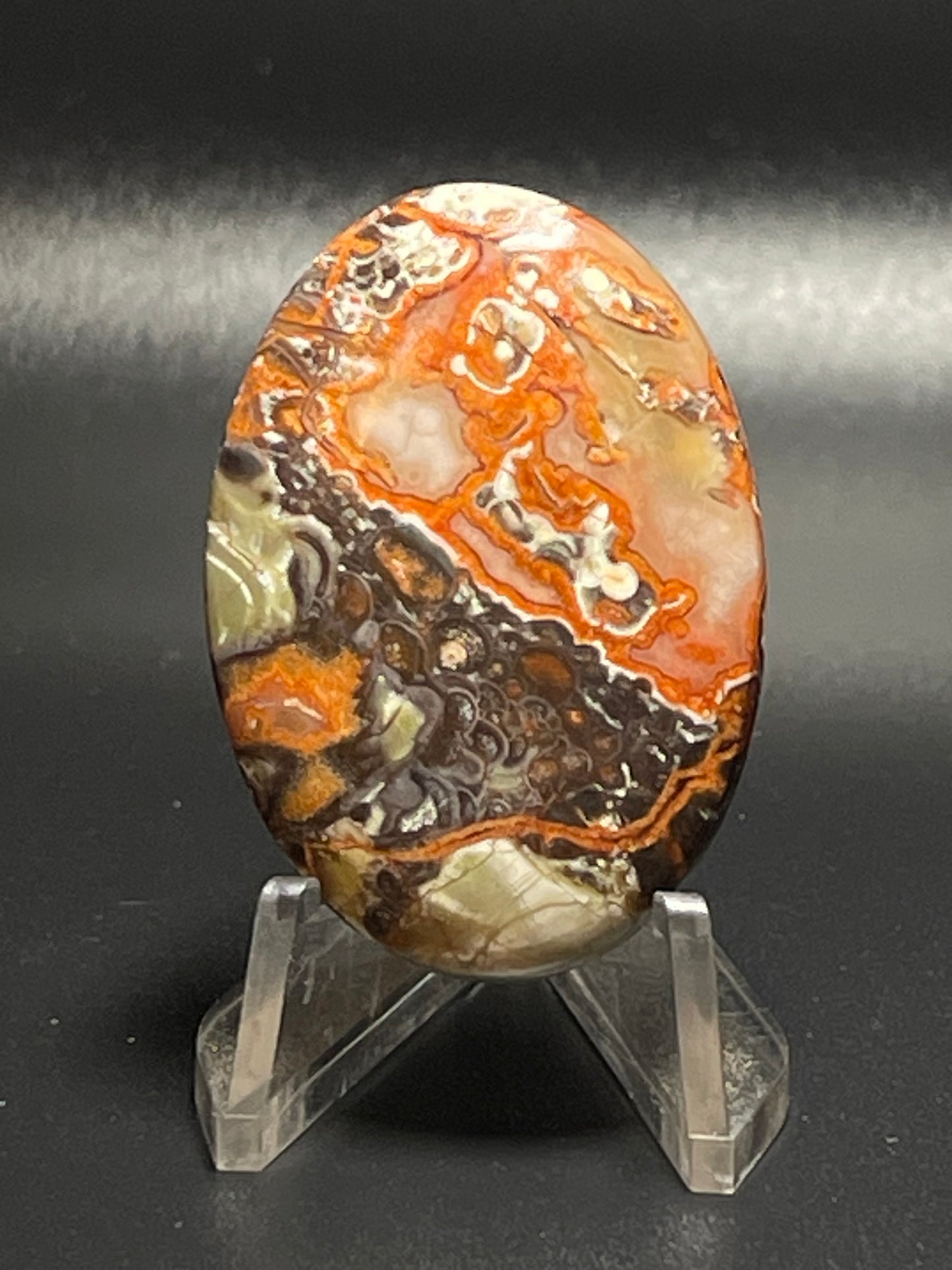 Leopard Jasper #LJ14