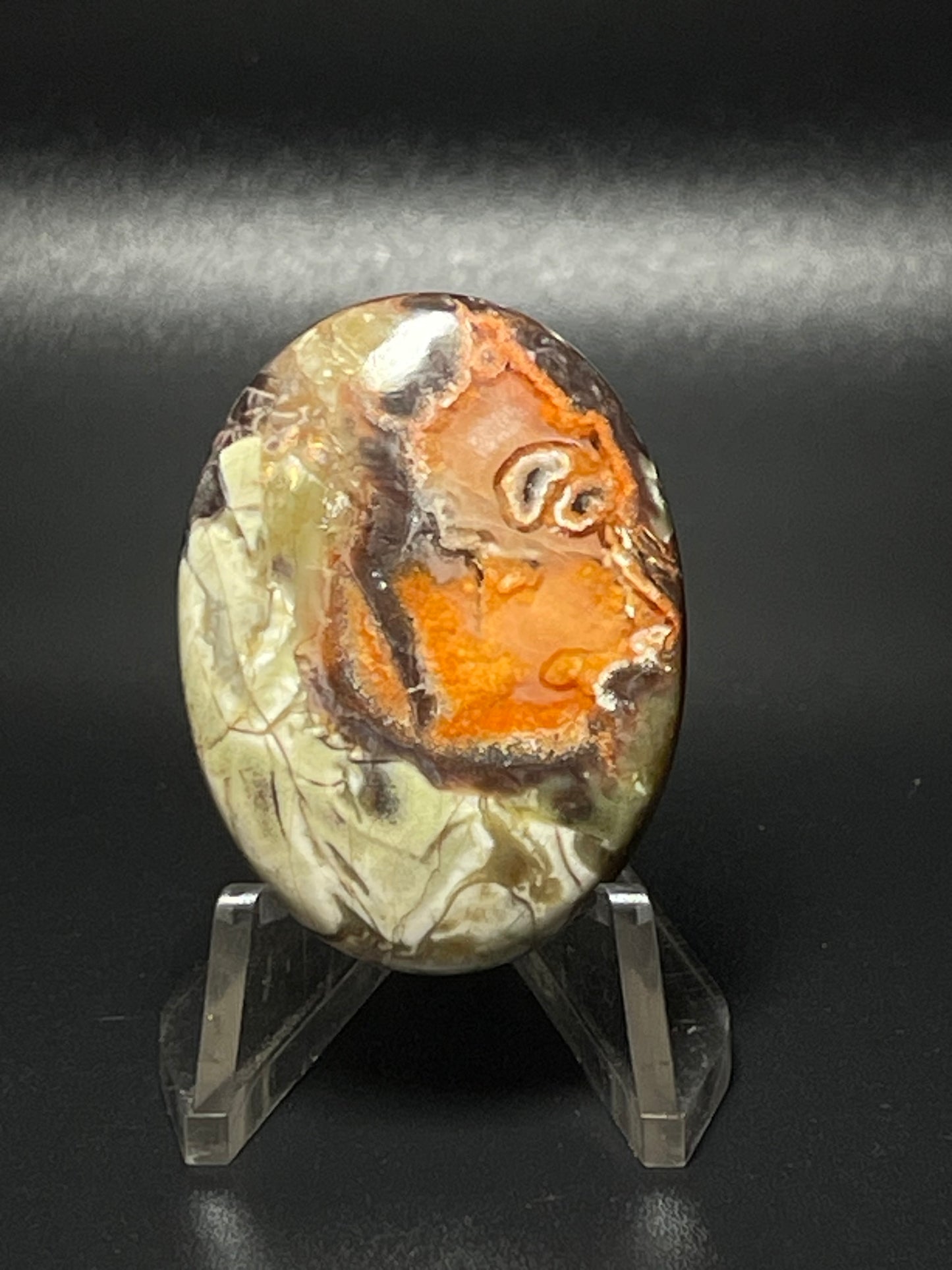 Leopard Jasper LJ11