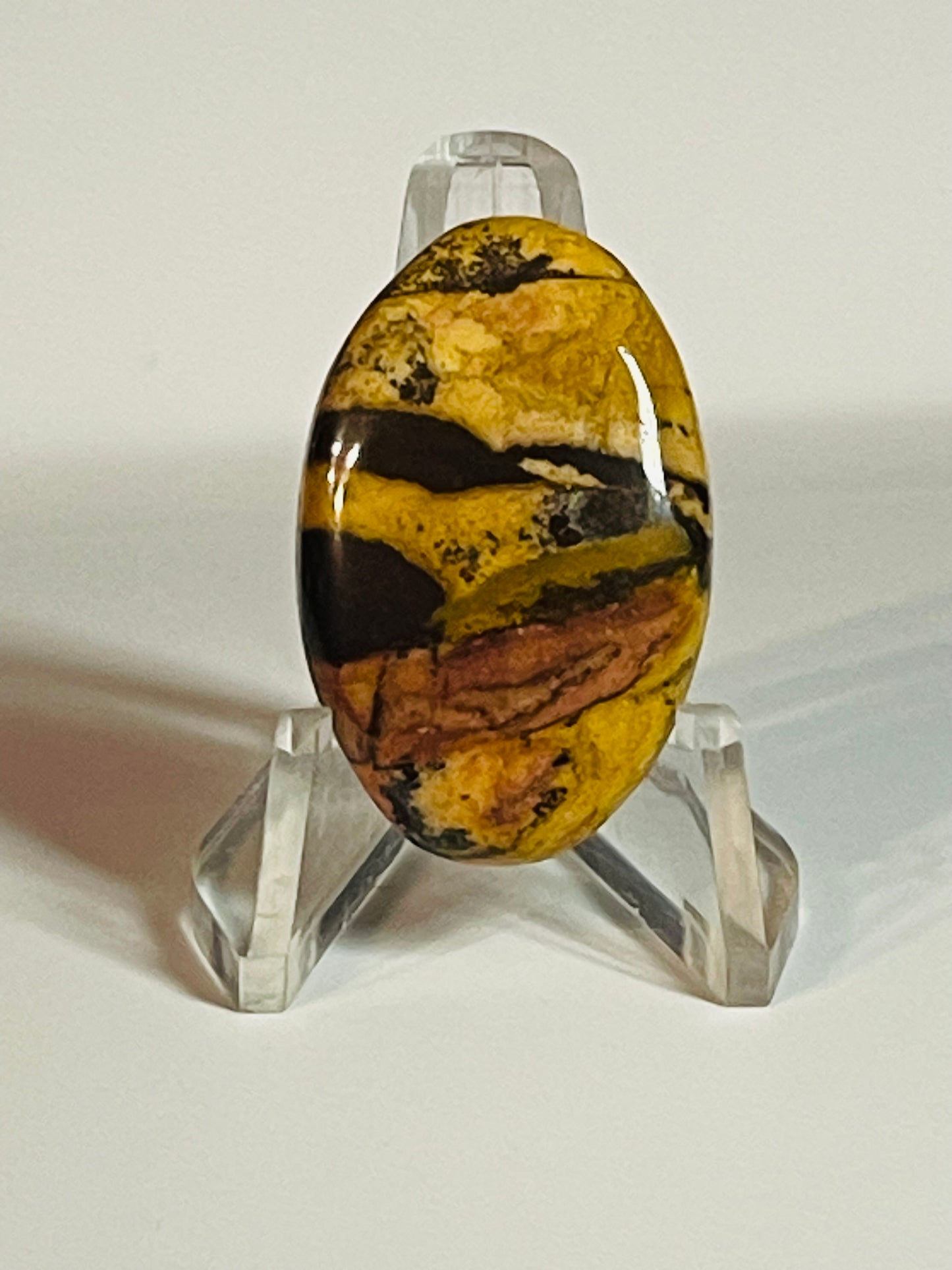 Australian Picture Jasper #APJ6