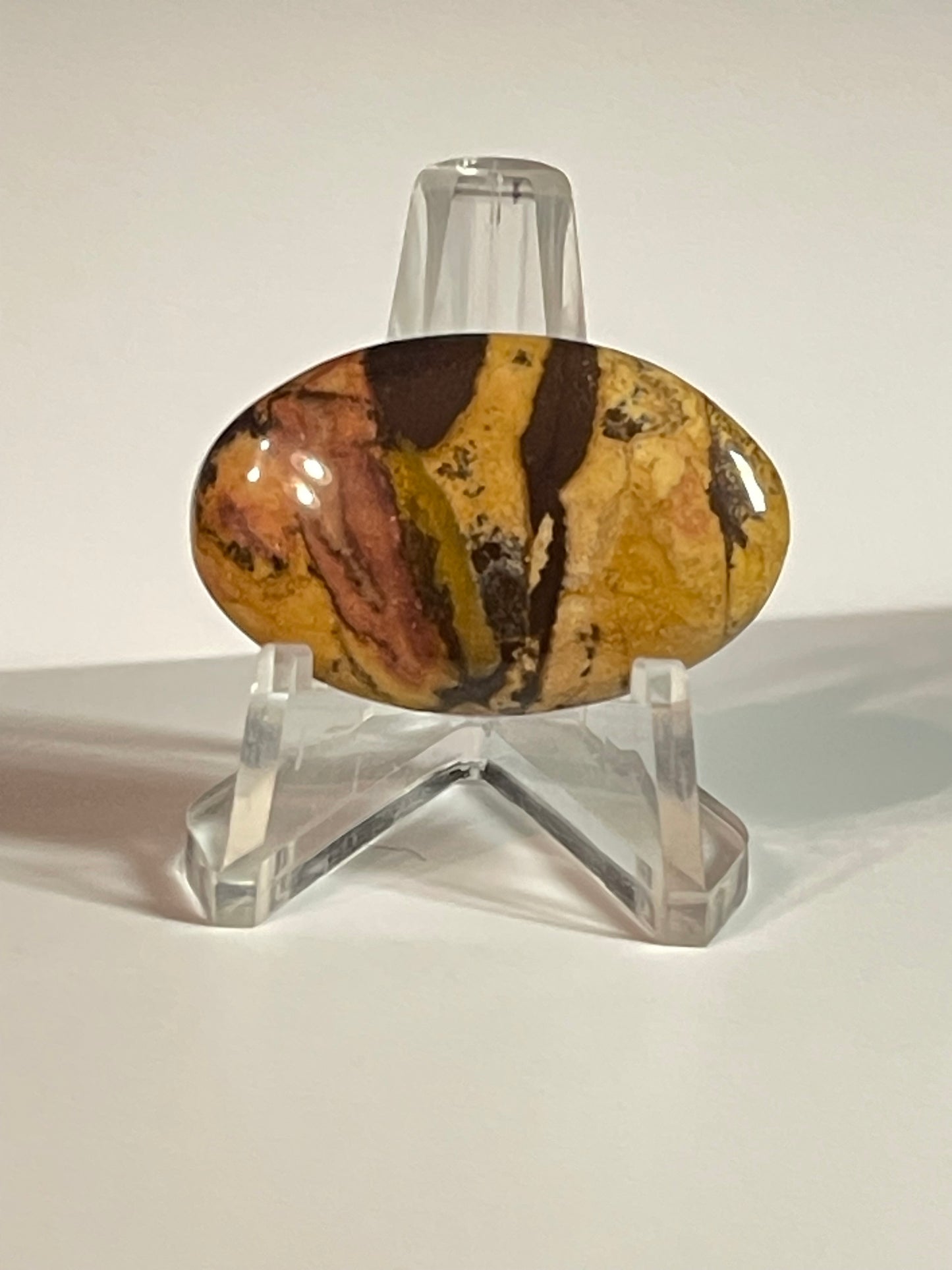 Australian Picture Jasper #APJ6